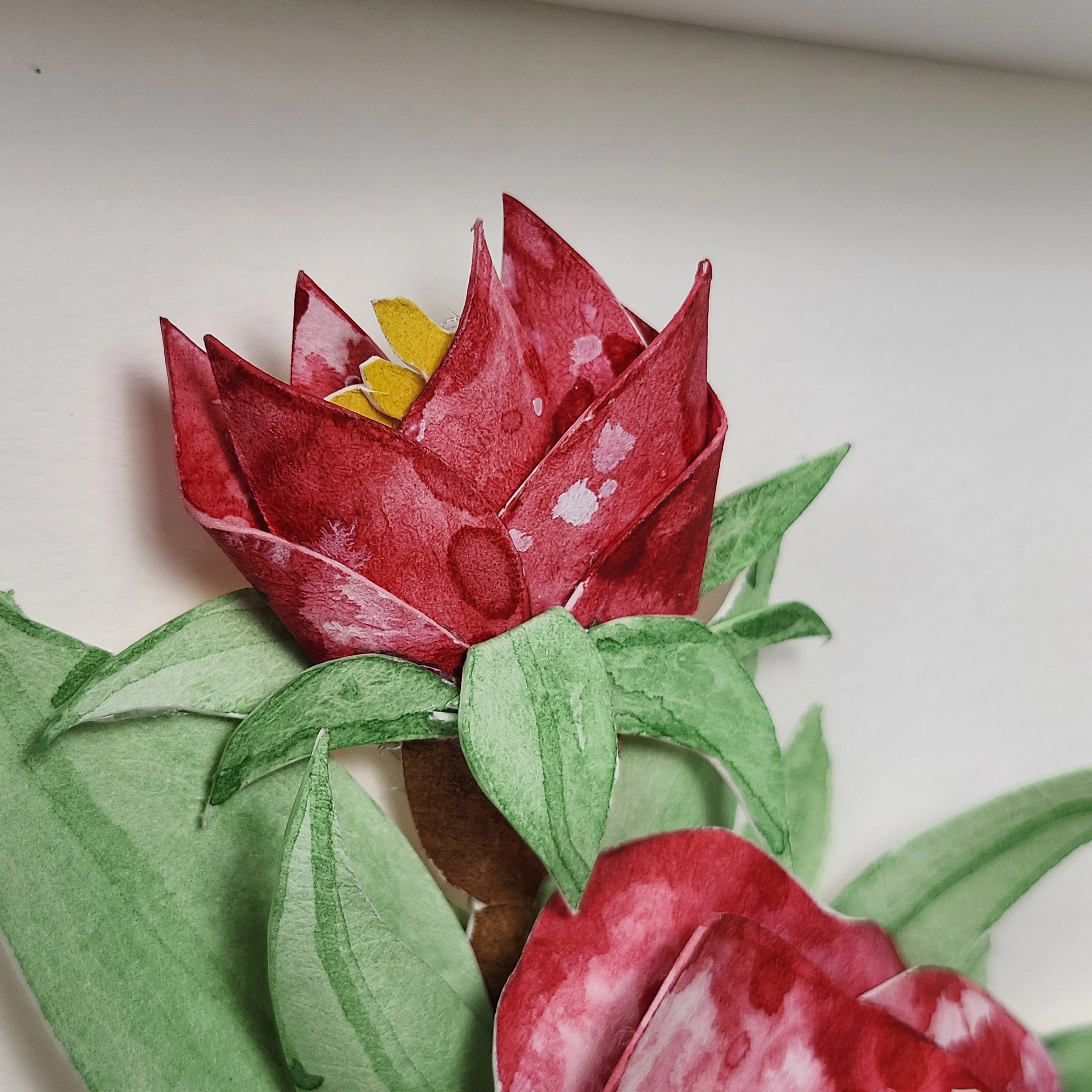 Original - Red Rose (1).jpg