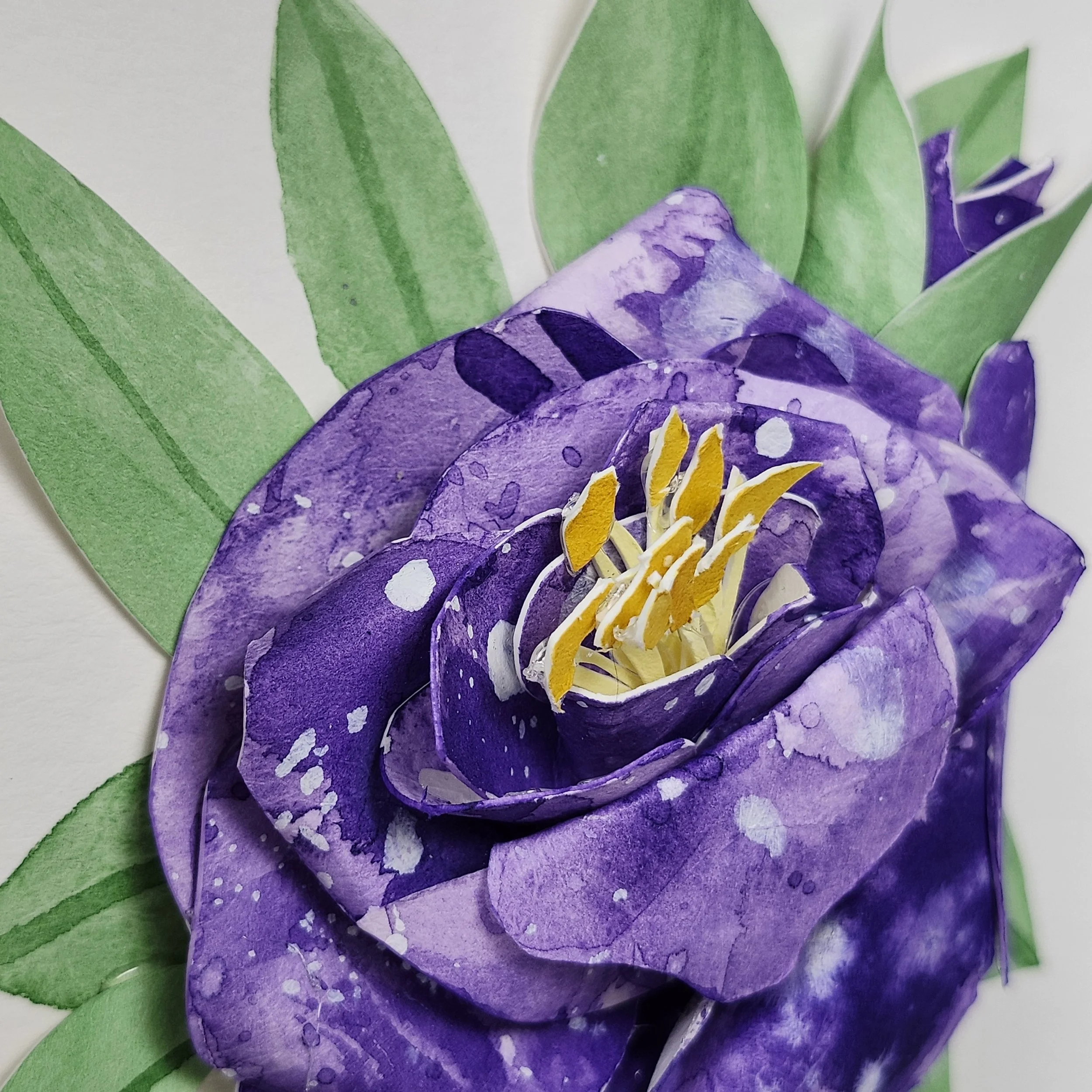 Original - Purple Rose (1).jpg