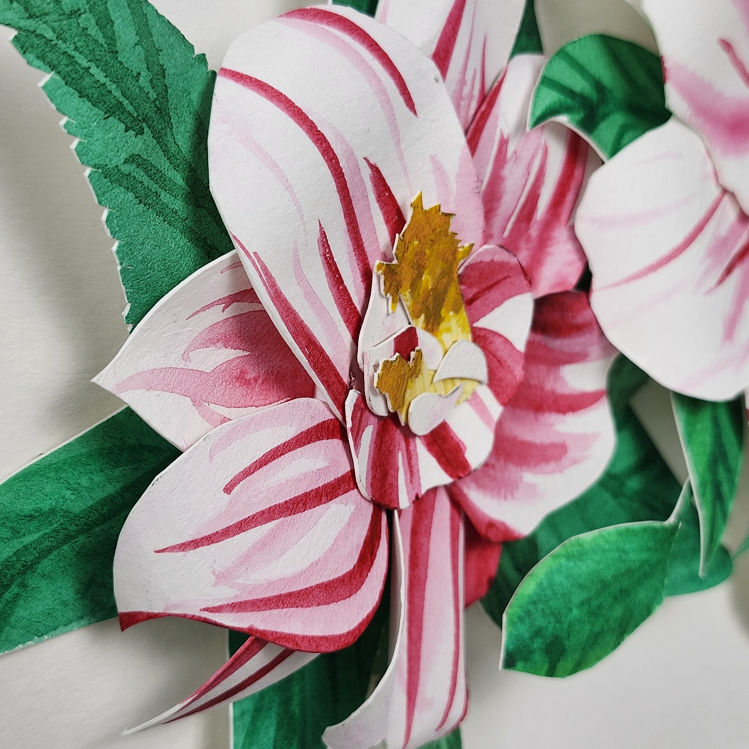 Original - Winter Roses (6).jpg