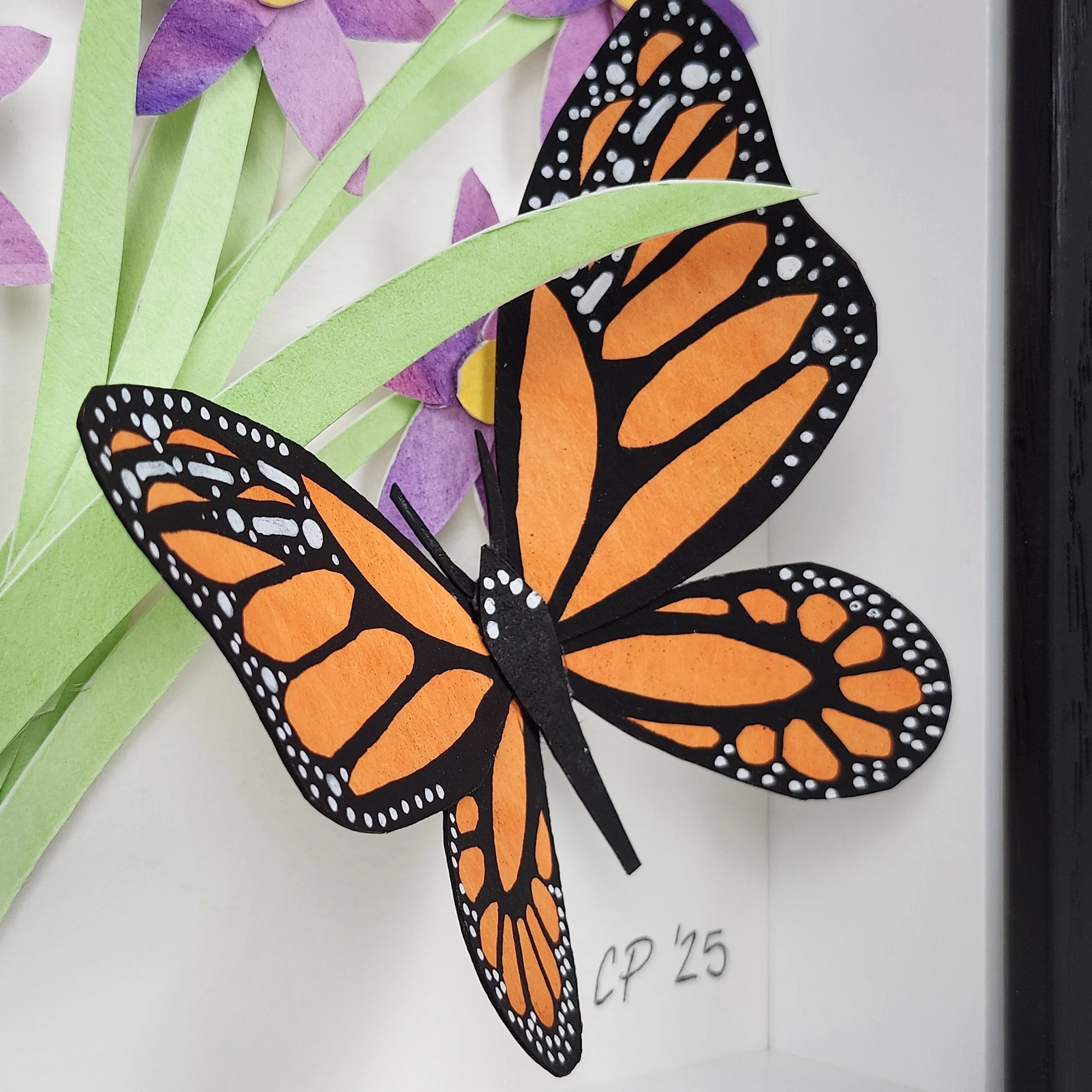 Original - Monarchs 1 (7).jpg