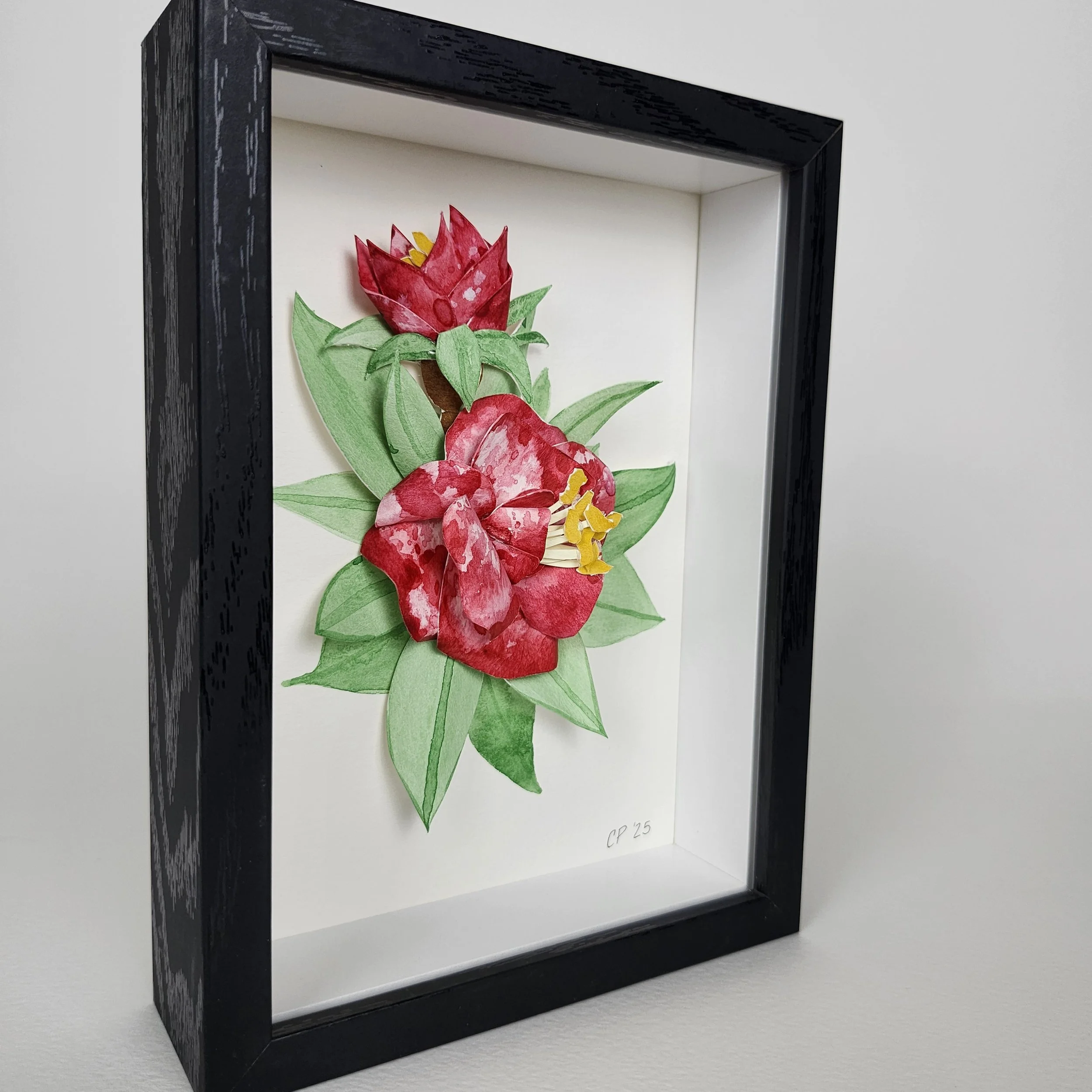 Original - Red Rose (3).jpg