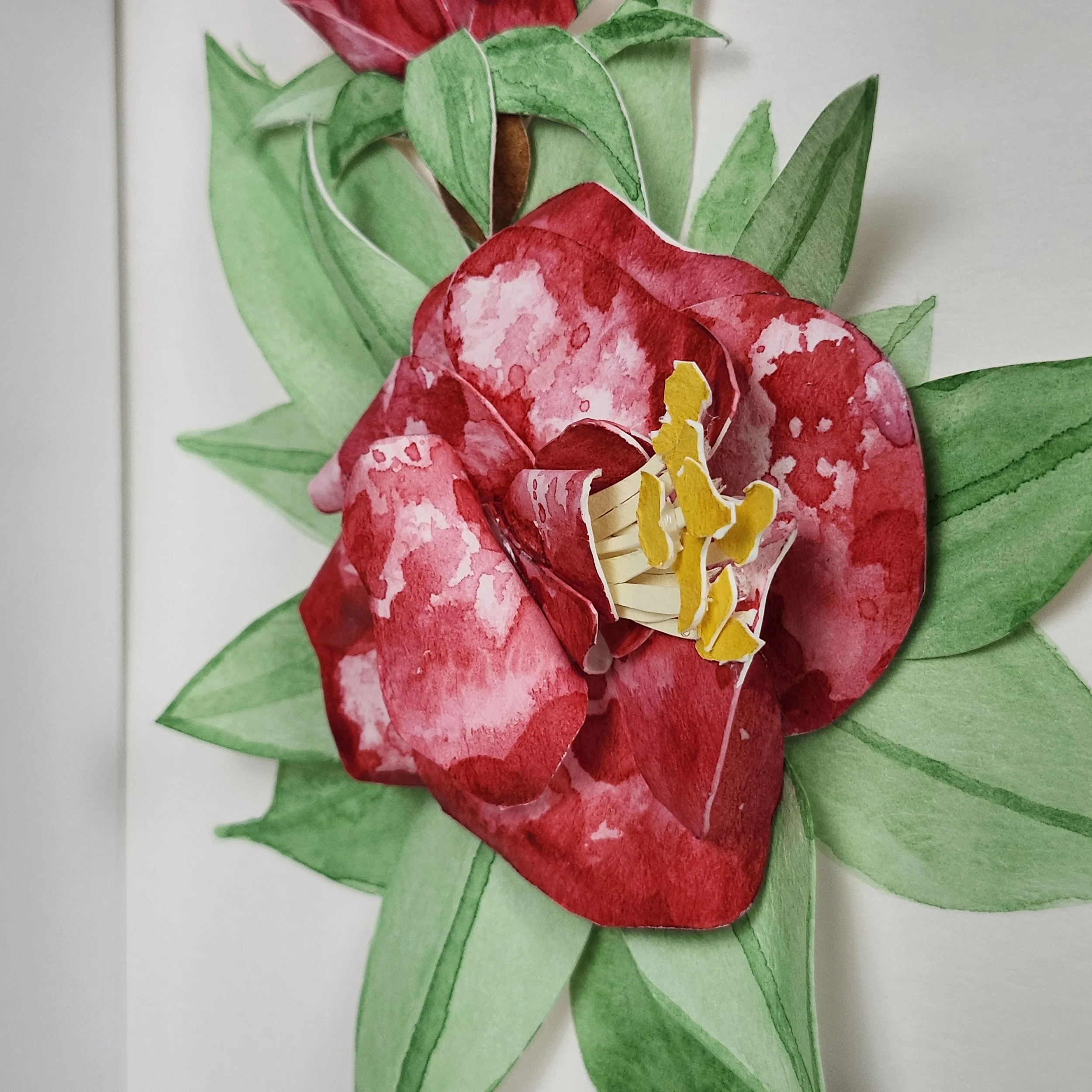 Original - Red Rose (5).jpg