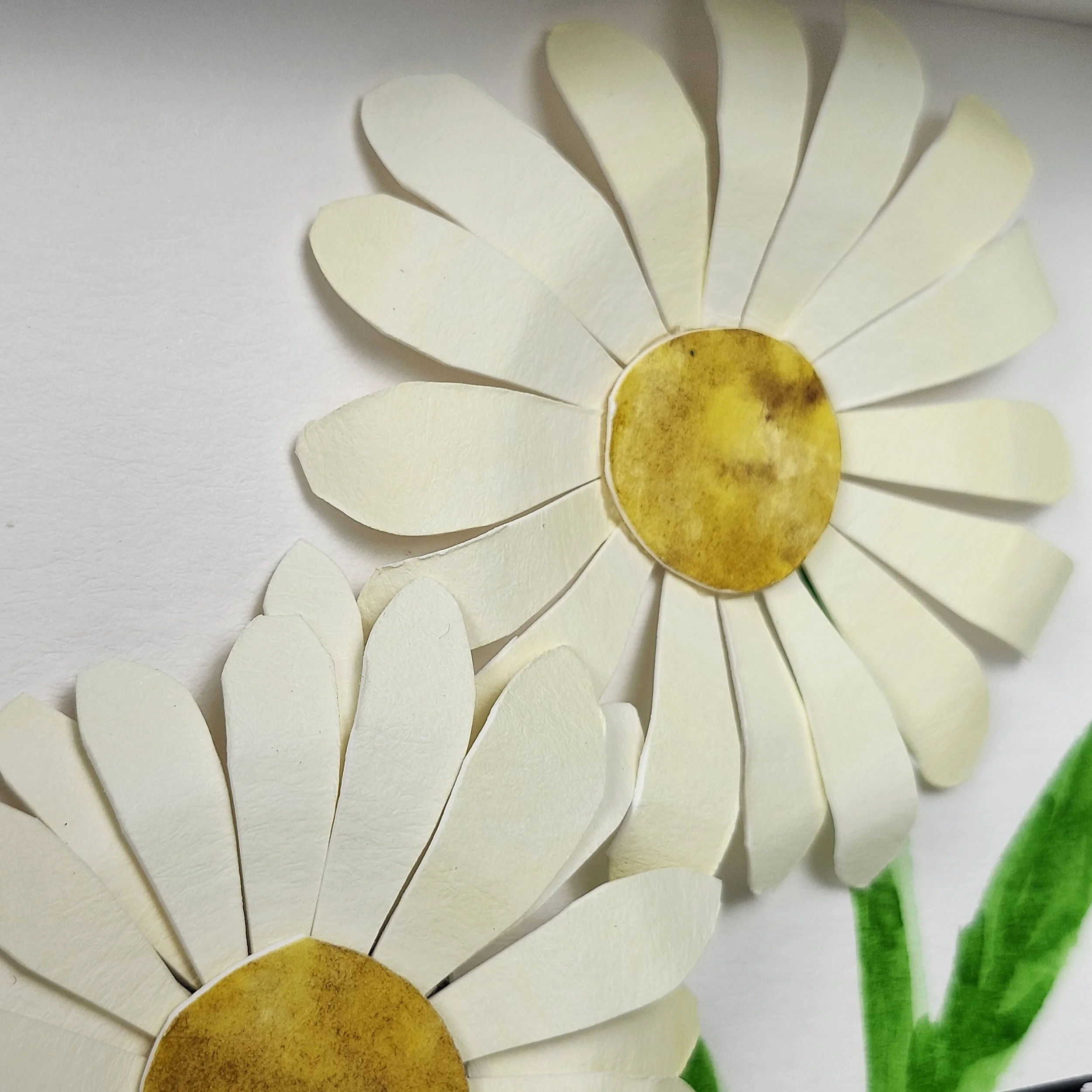 Original - Monarch 4 (5).jpg