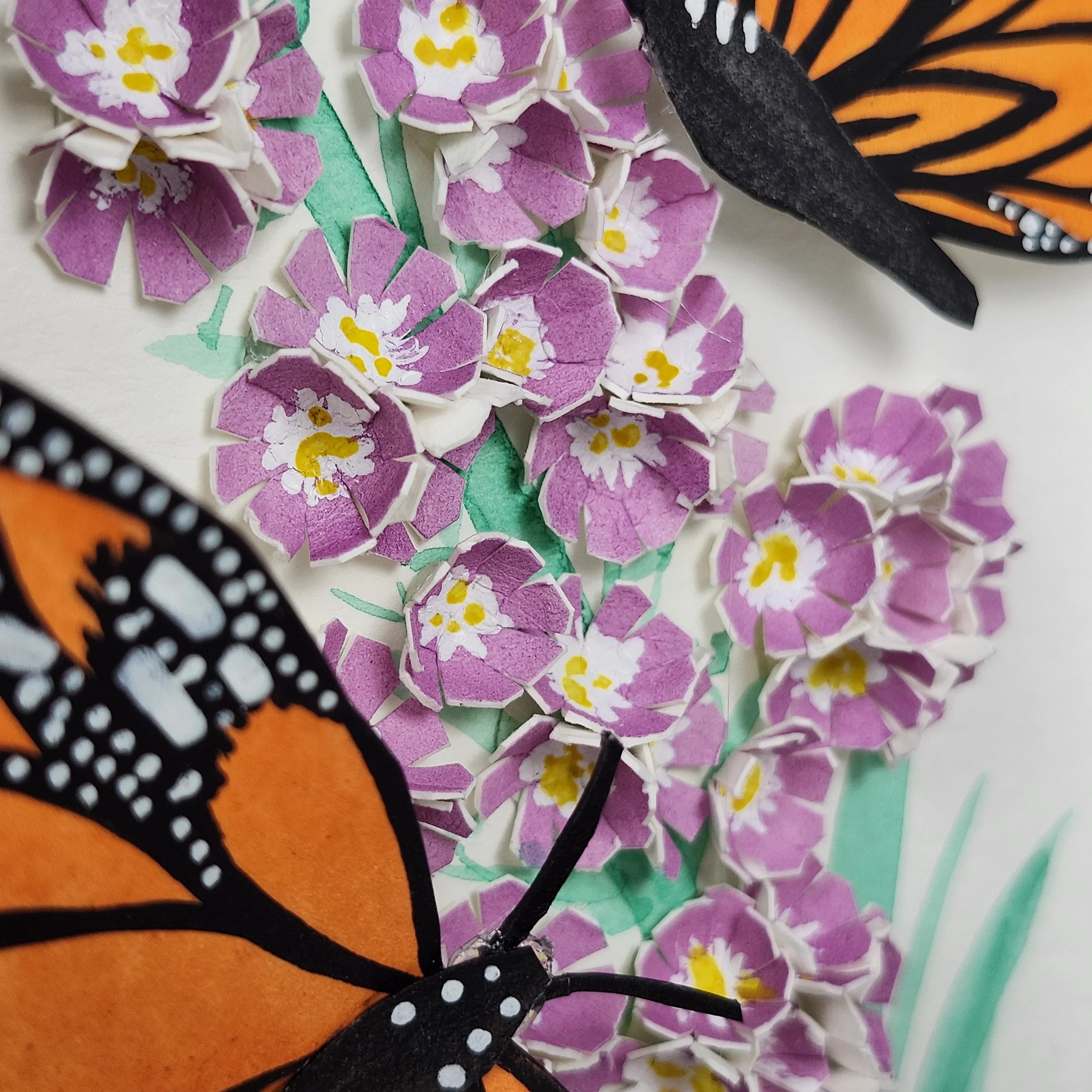 Original - Monarch 2 (1).jpg