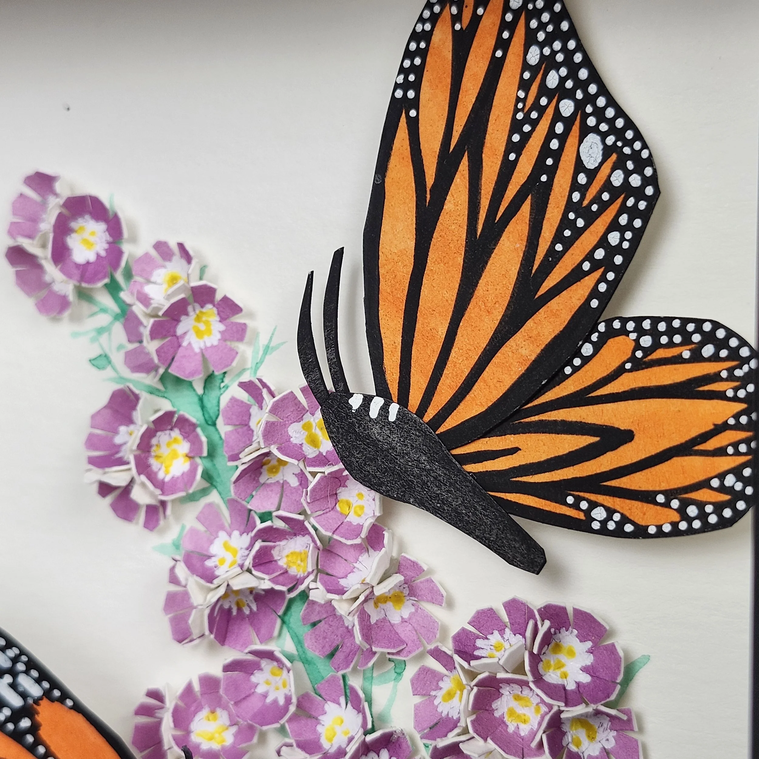 Original - Monarch 2 (6).jpg