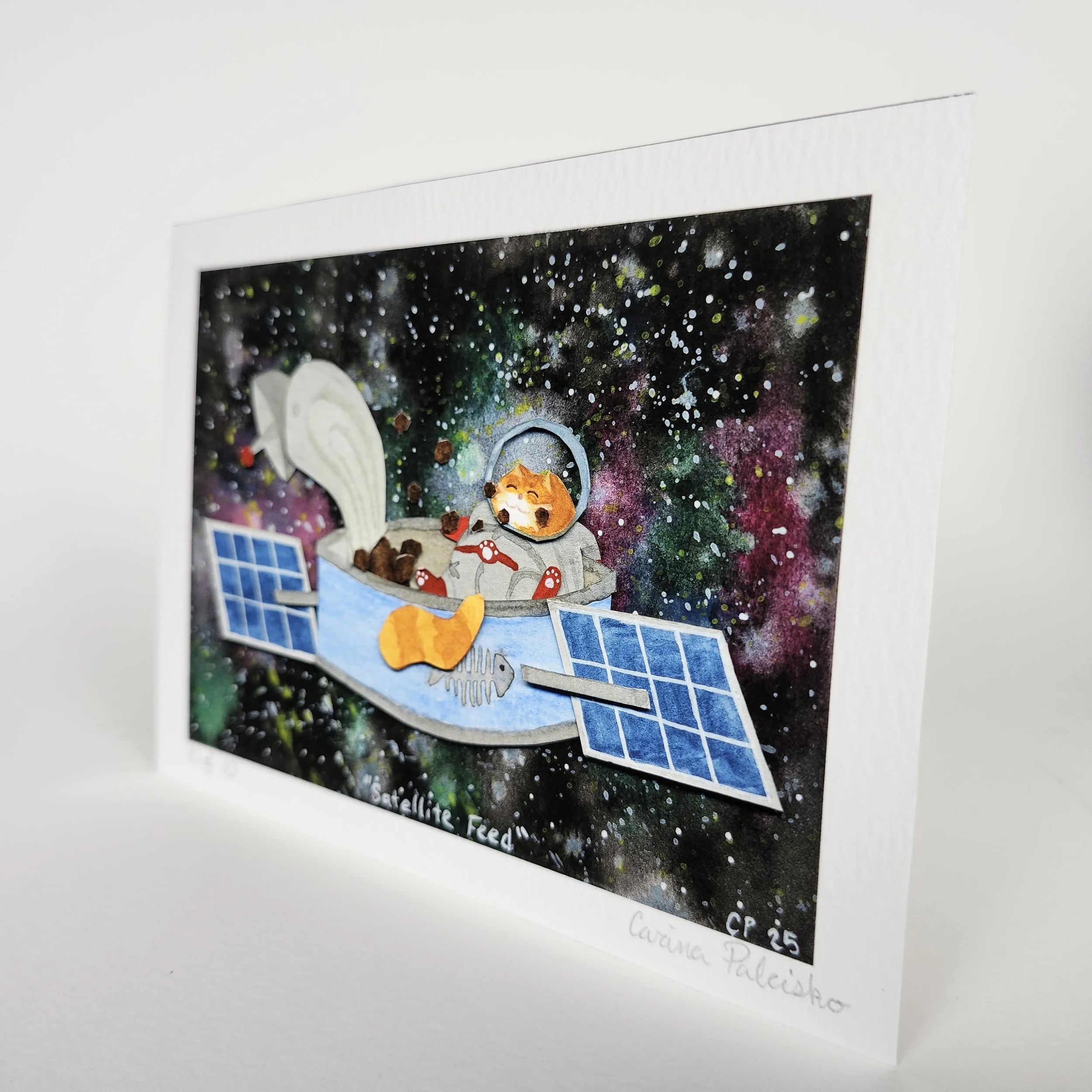 5x7 Print - Sat Feed (3).jpg