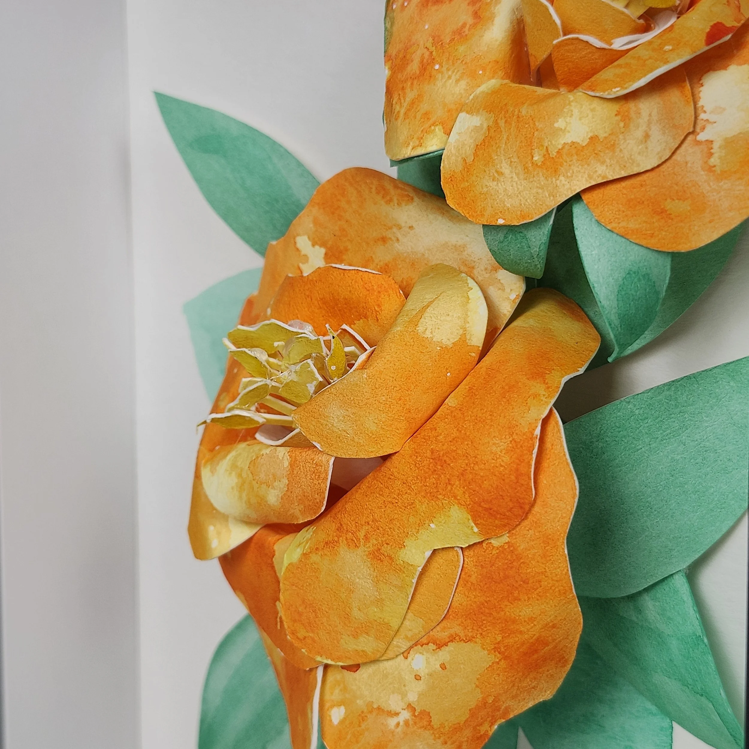 Original - Orange Rose (6).jpg