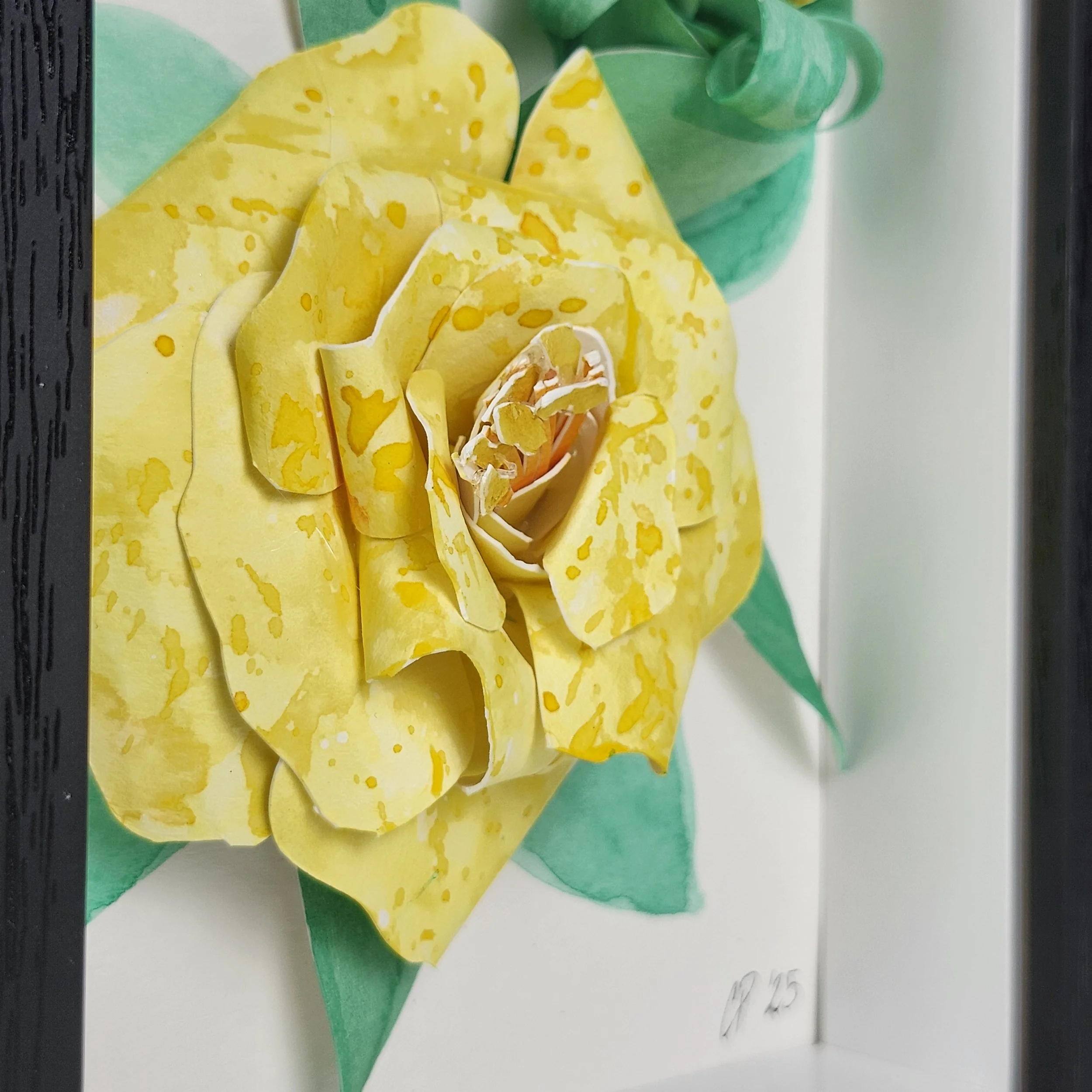 Original - Yellow Rose (8).jpg