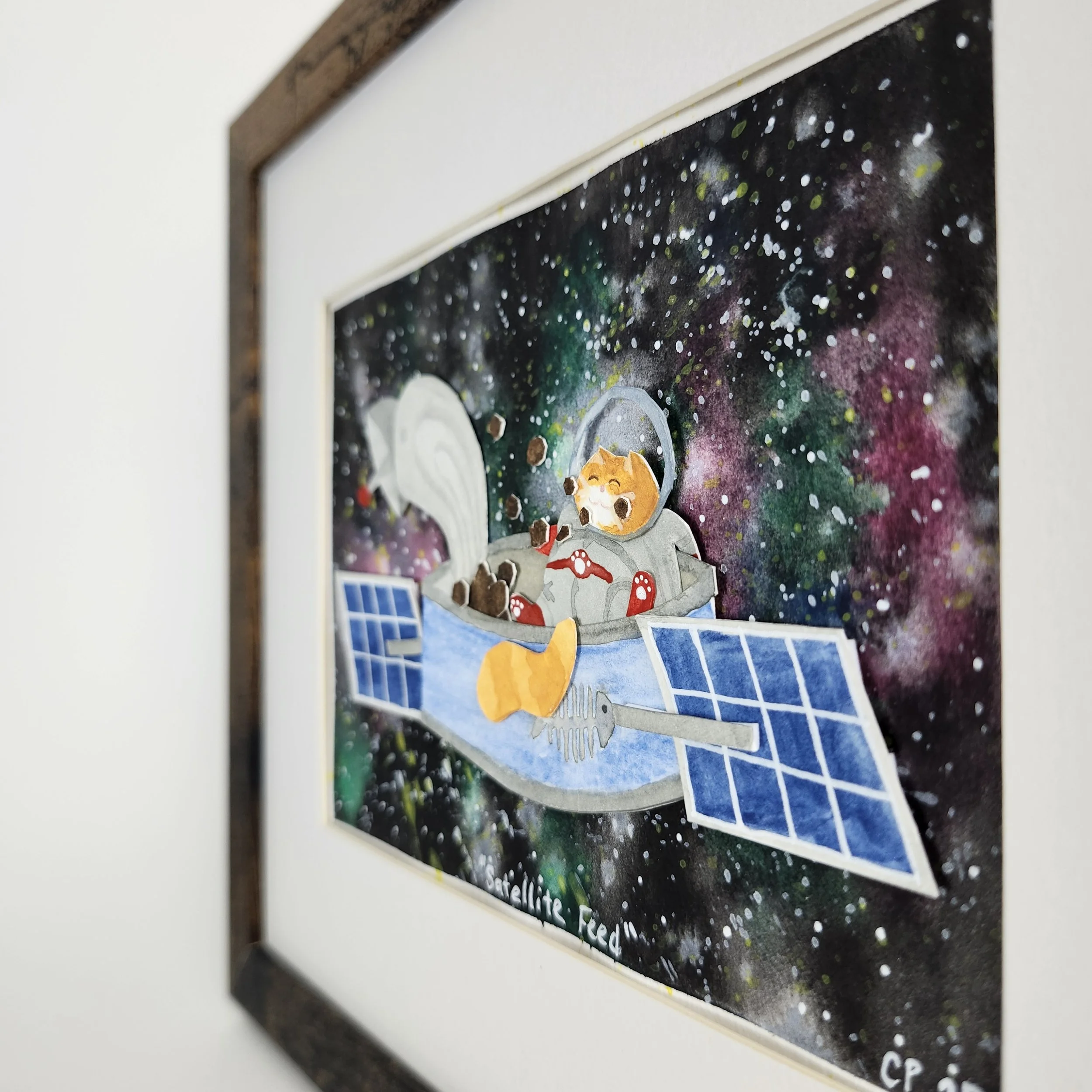 Original - Sat Feed (5).jpg