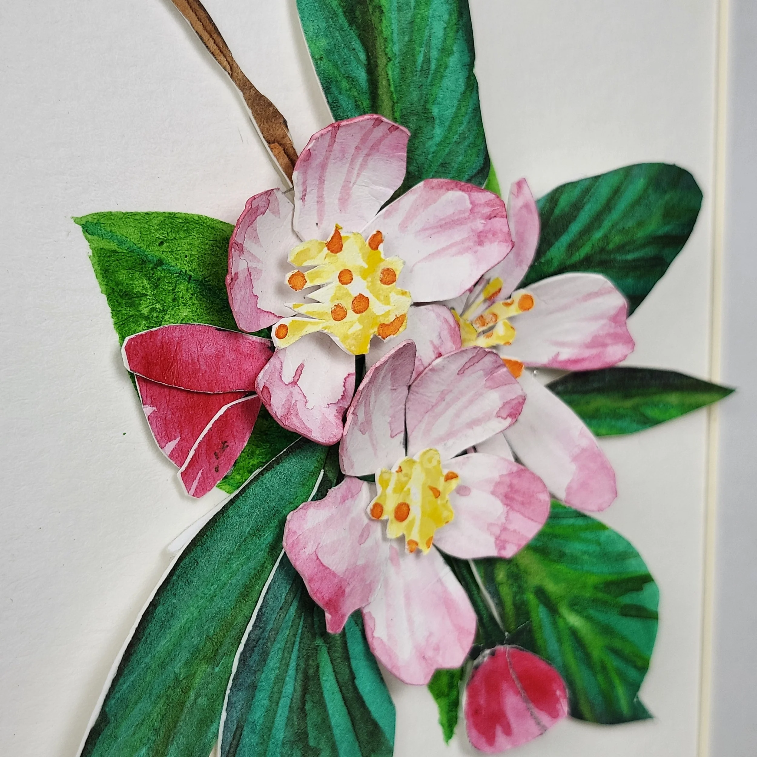 Original - Apple Blossem