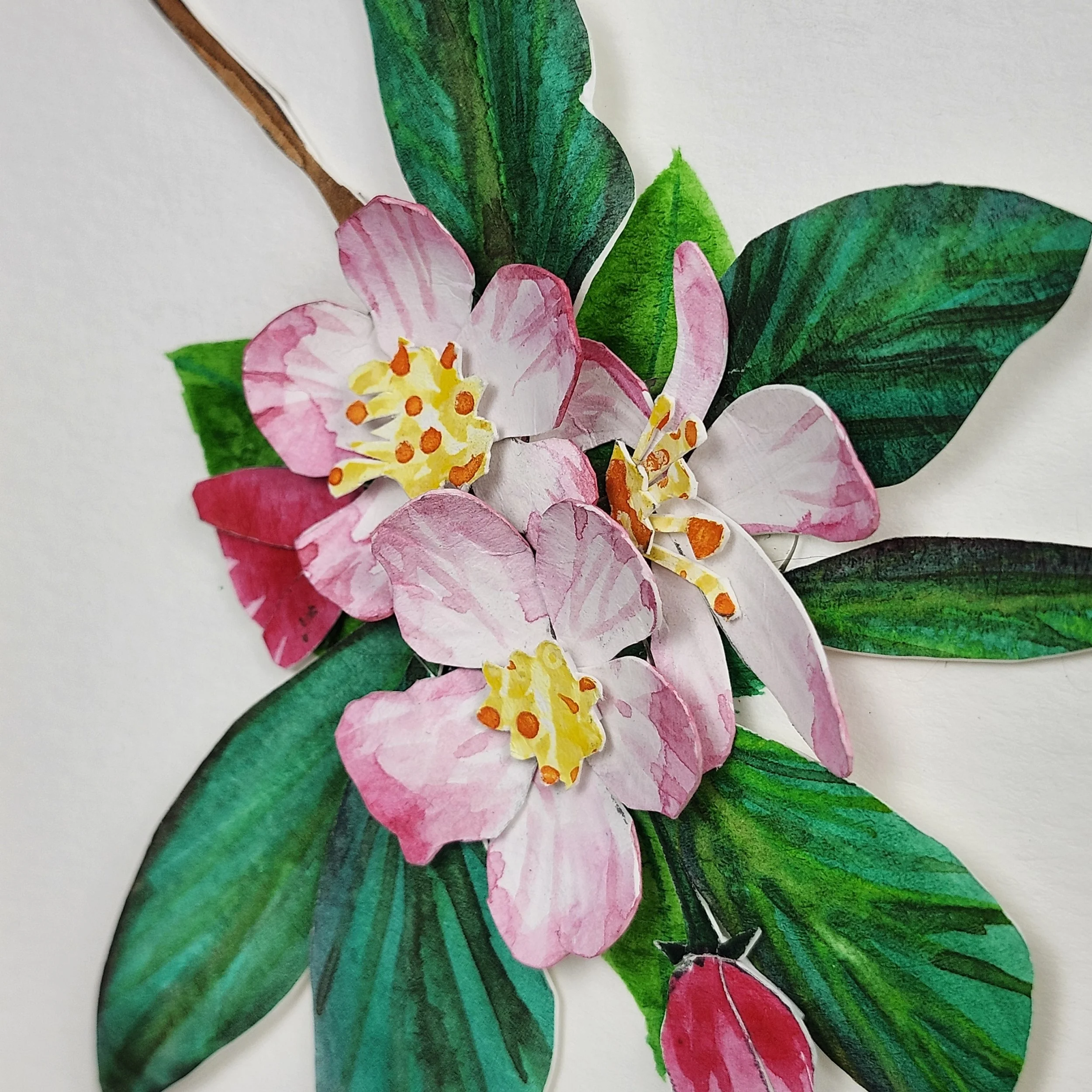 Original - Apple Blossem (2).jpg