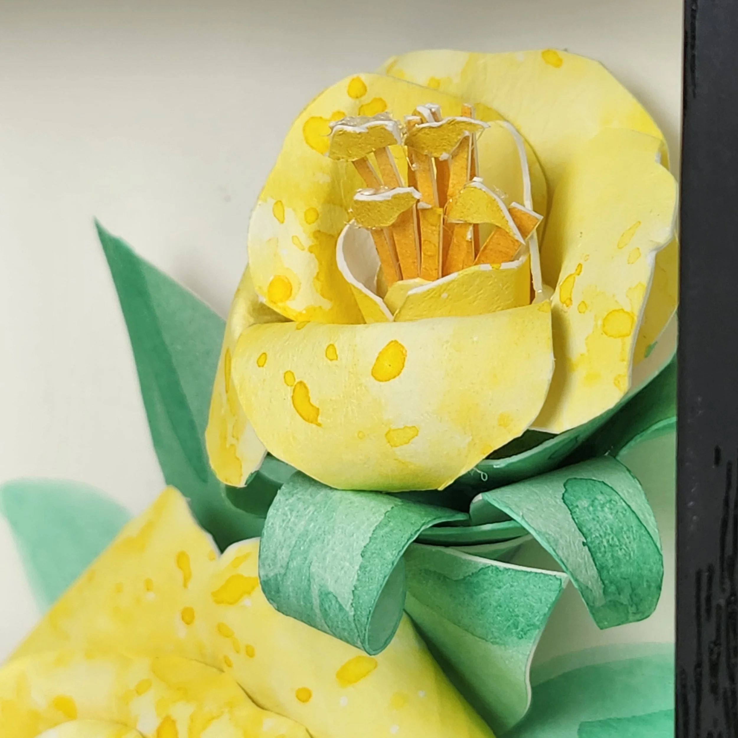 Original - Yellow Rose (6).jpg