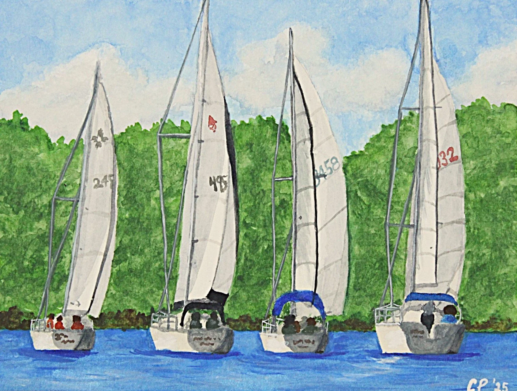 Greeting Card - Sailboats