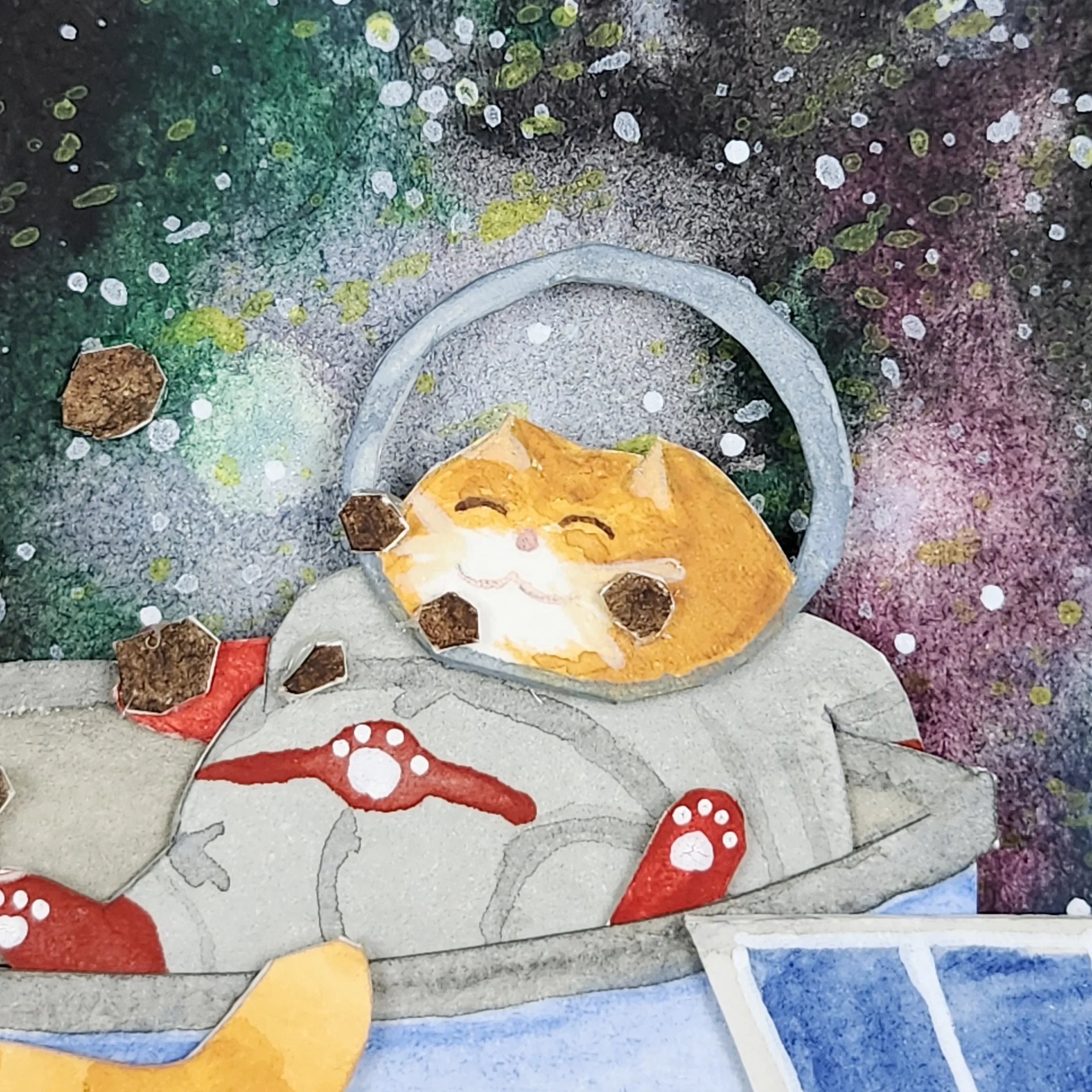 Original - Sat Feed (3).jpg