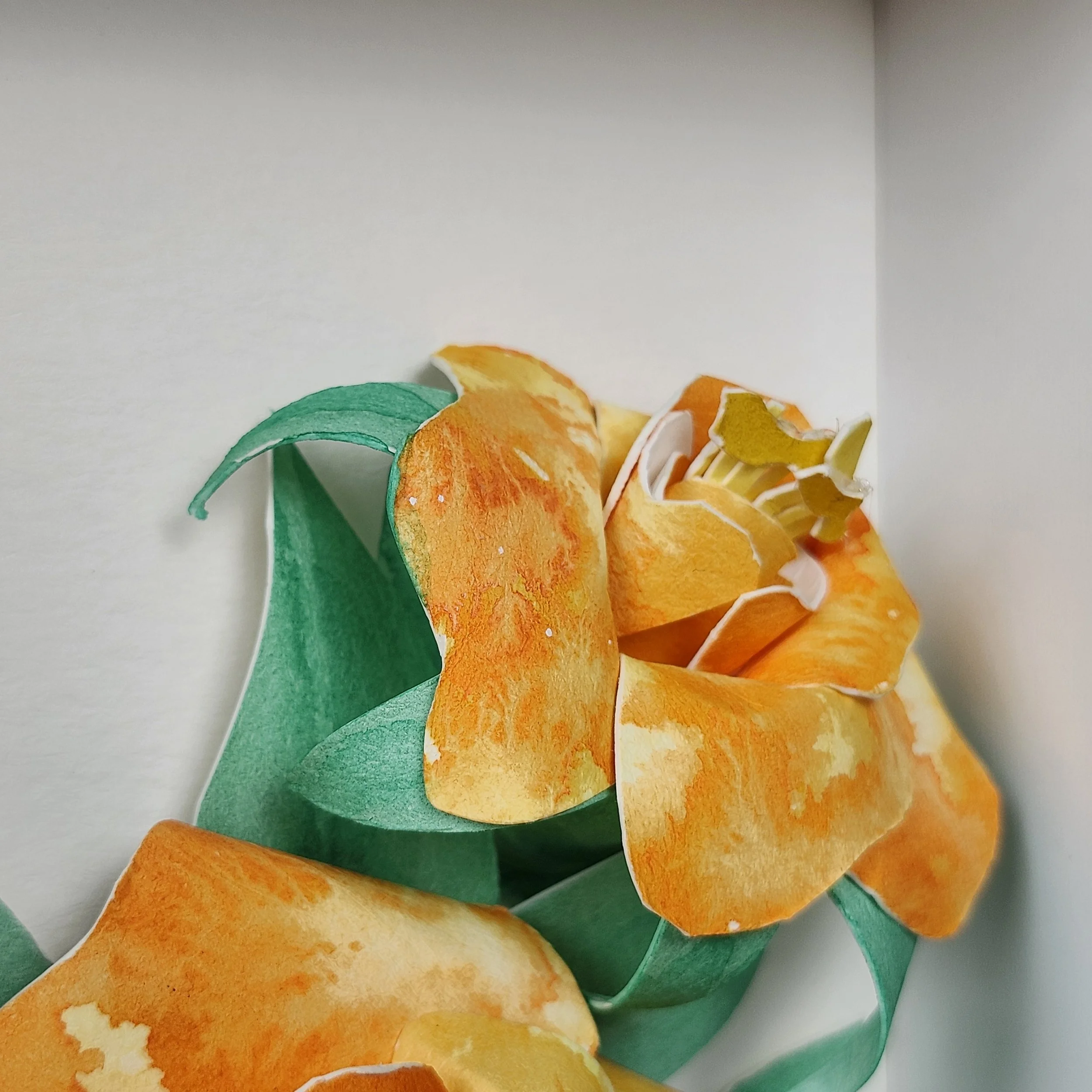 Original - Orange Rose (5).jpg