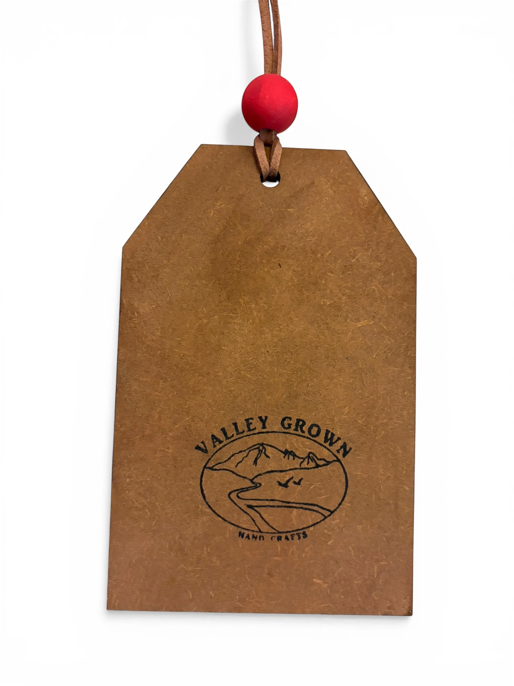 ornament skis back.JPG