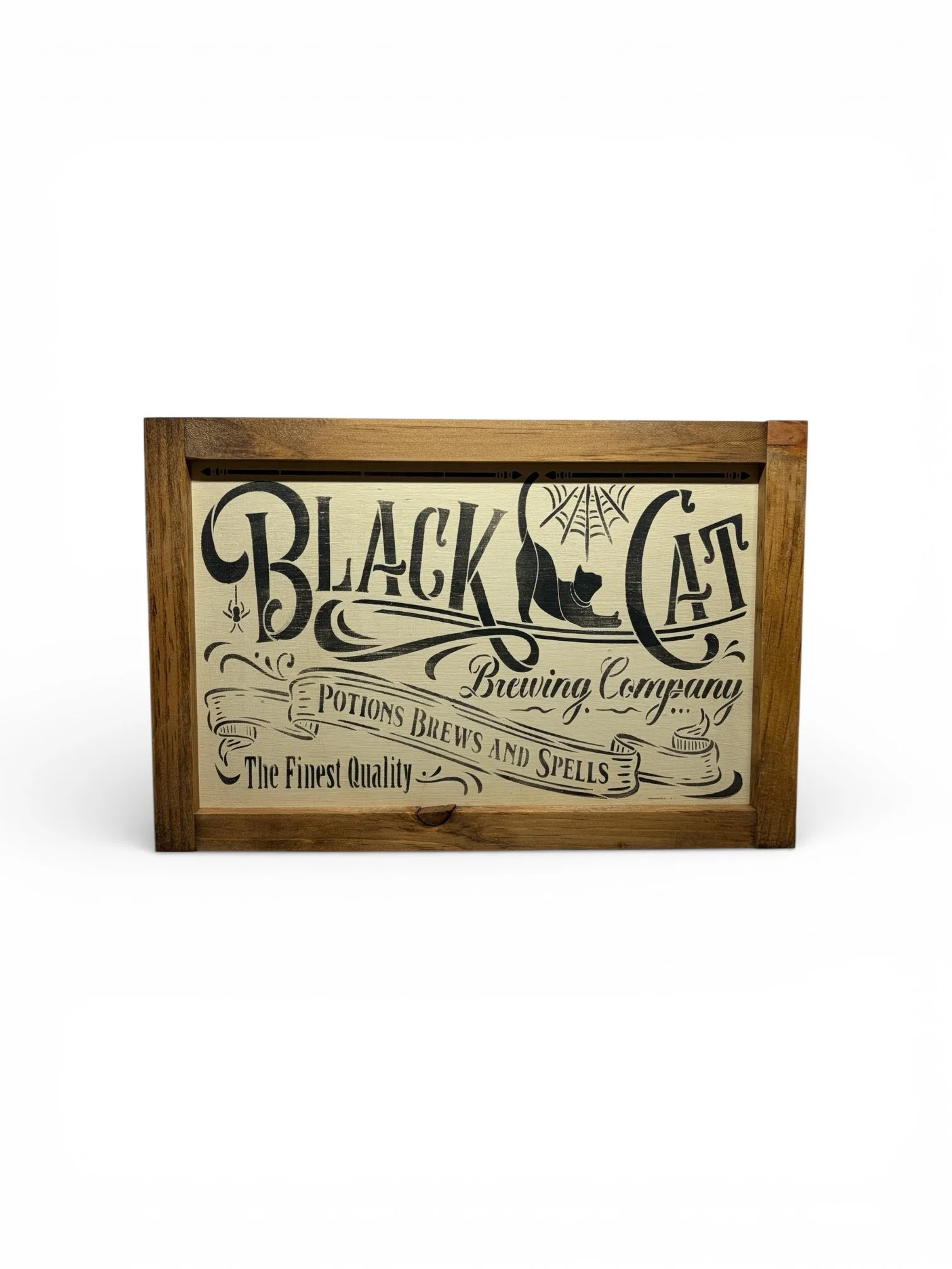 8x12 black cat studio - Copy.JPG