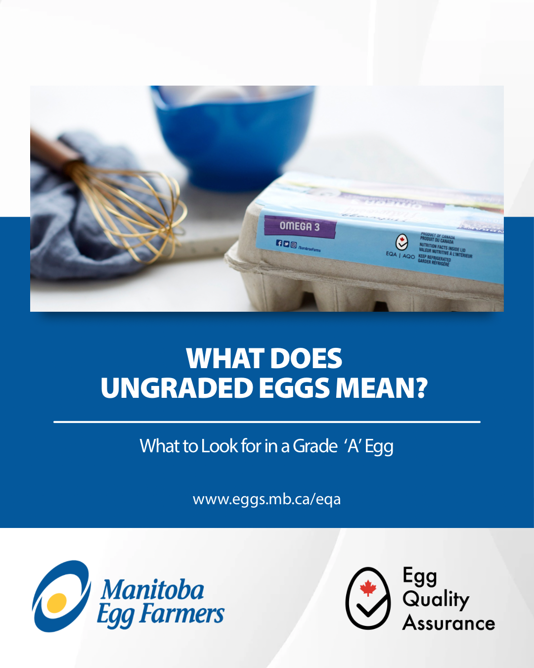 EQA - What is a Grade A Egg? - Post.png