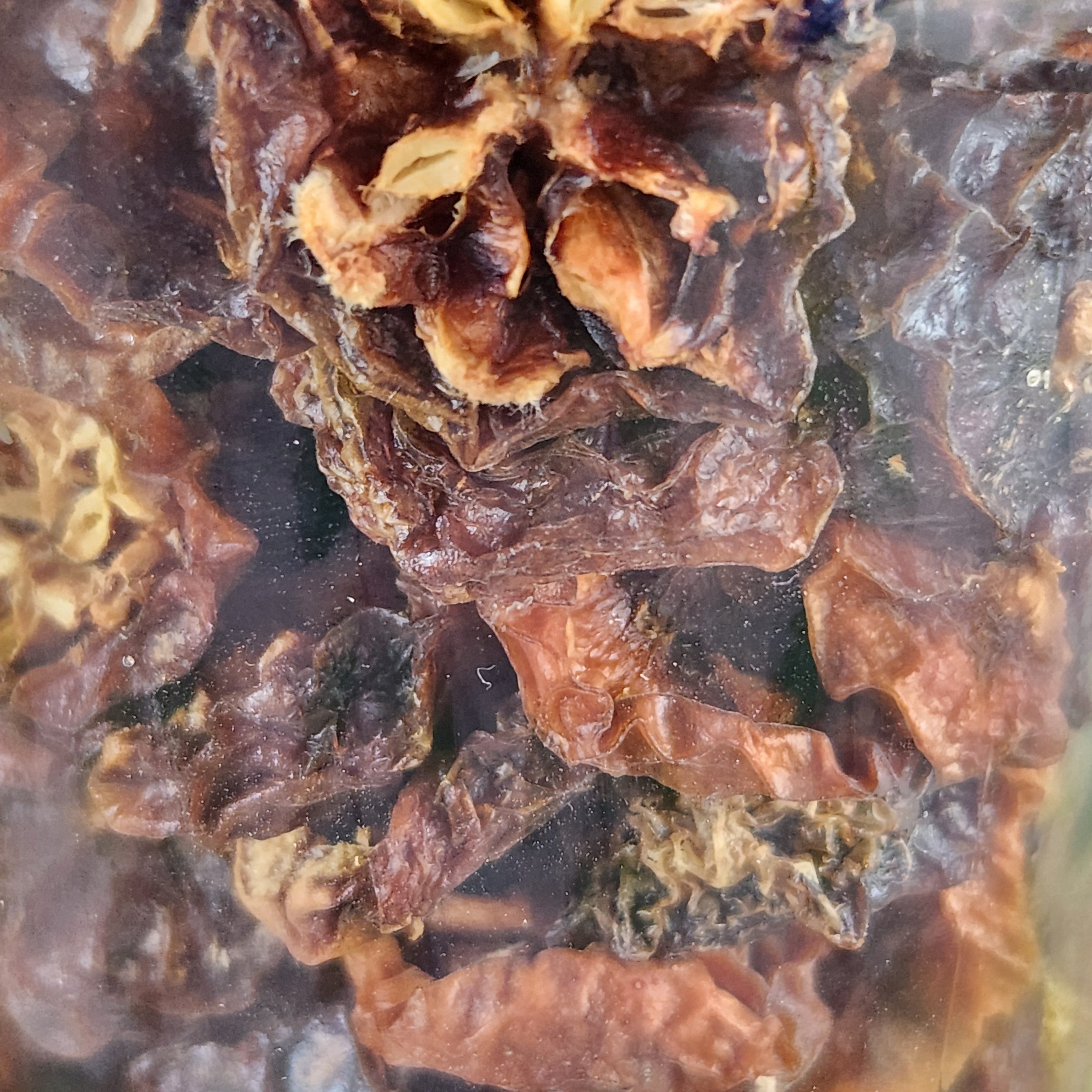 Kei apple - close up.jpg