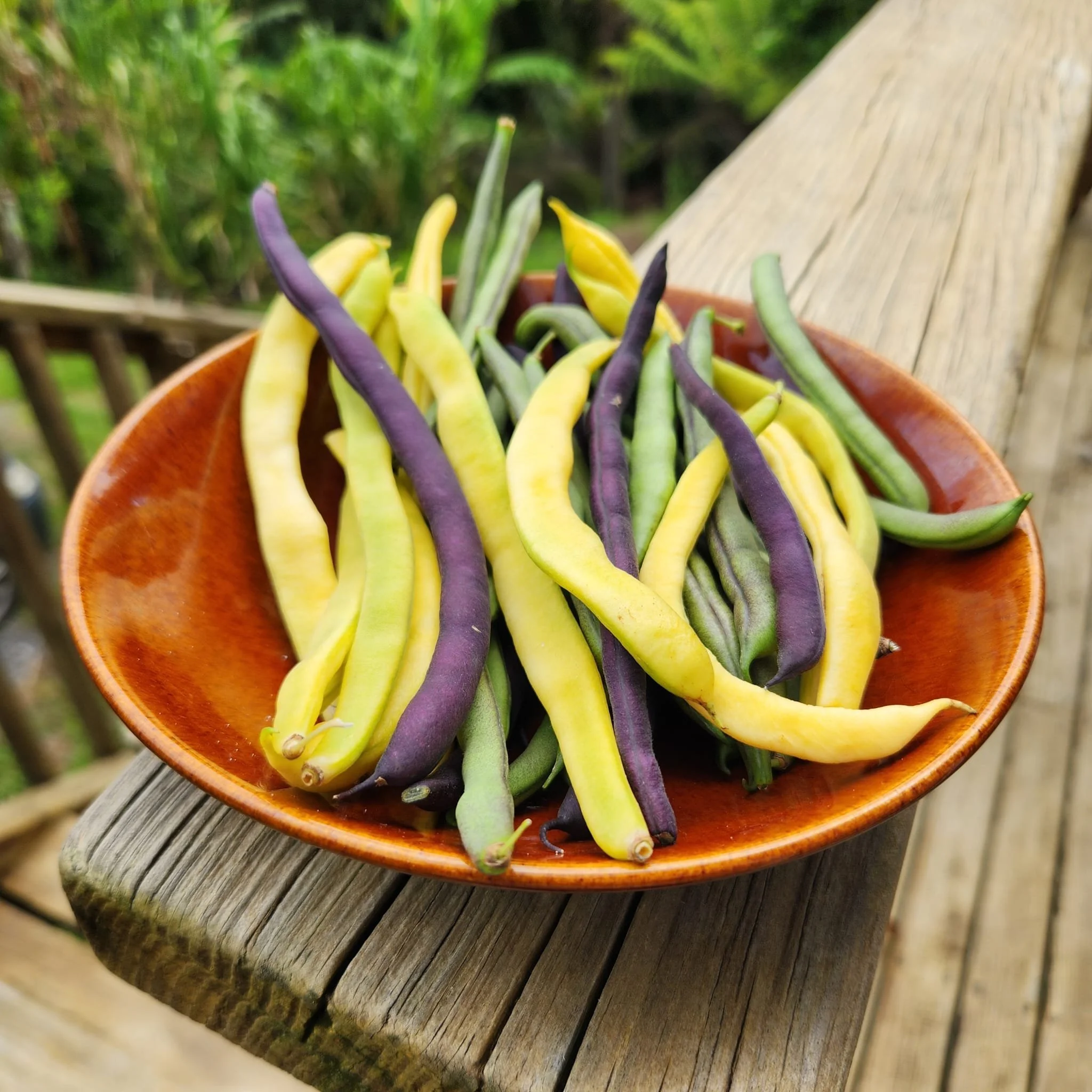 WhatsApp Image 2026-02-04 at 12.27.48.jpeg