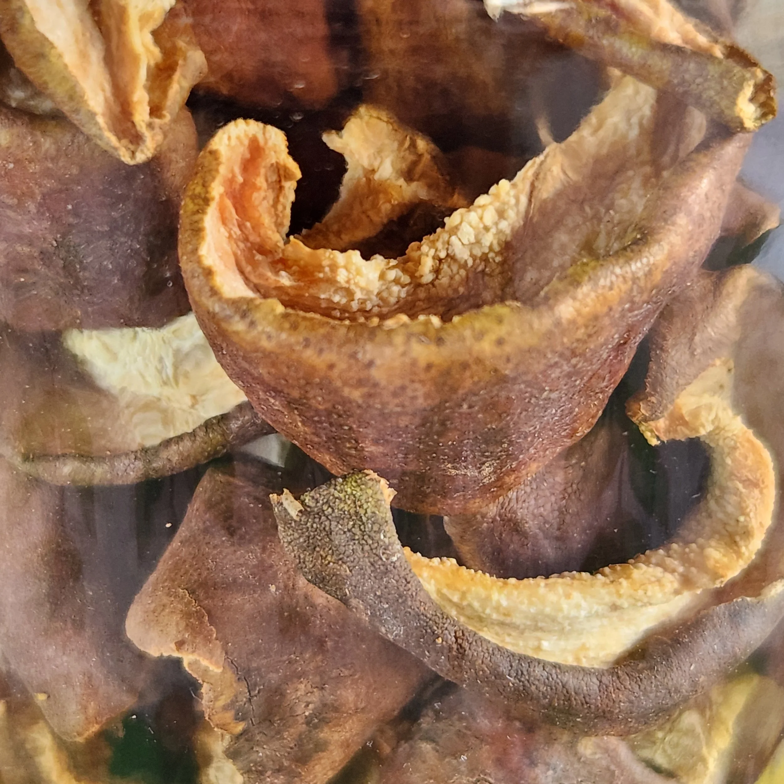 dried pear detail.jpg