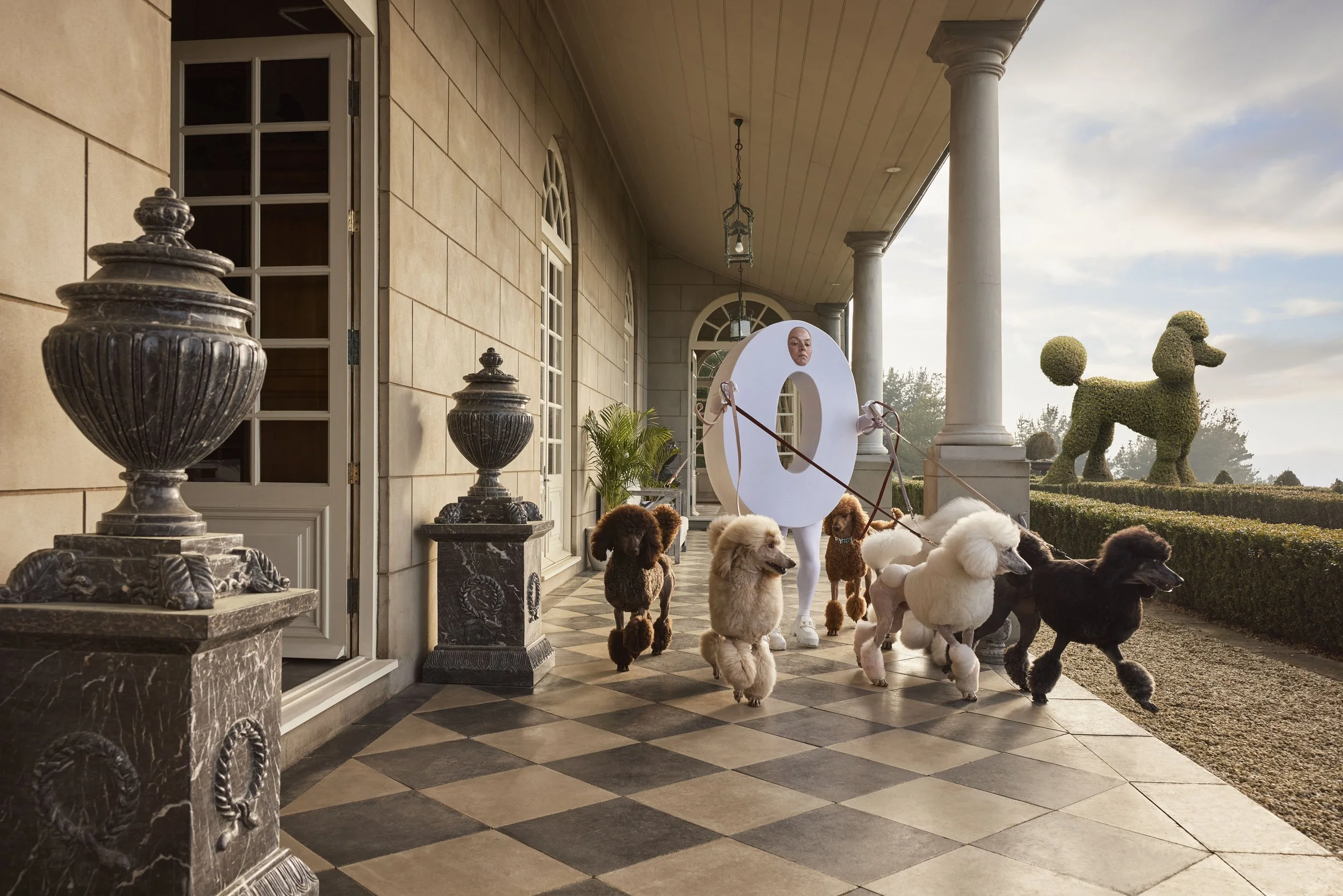 TLO0006_Brand Campaign_Poodles.jpg