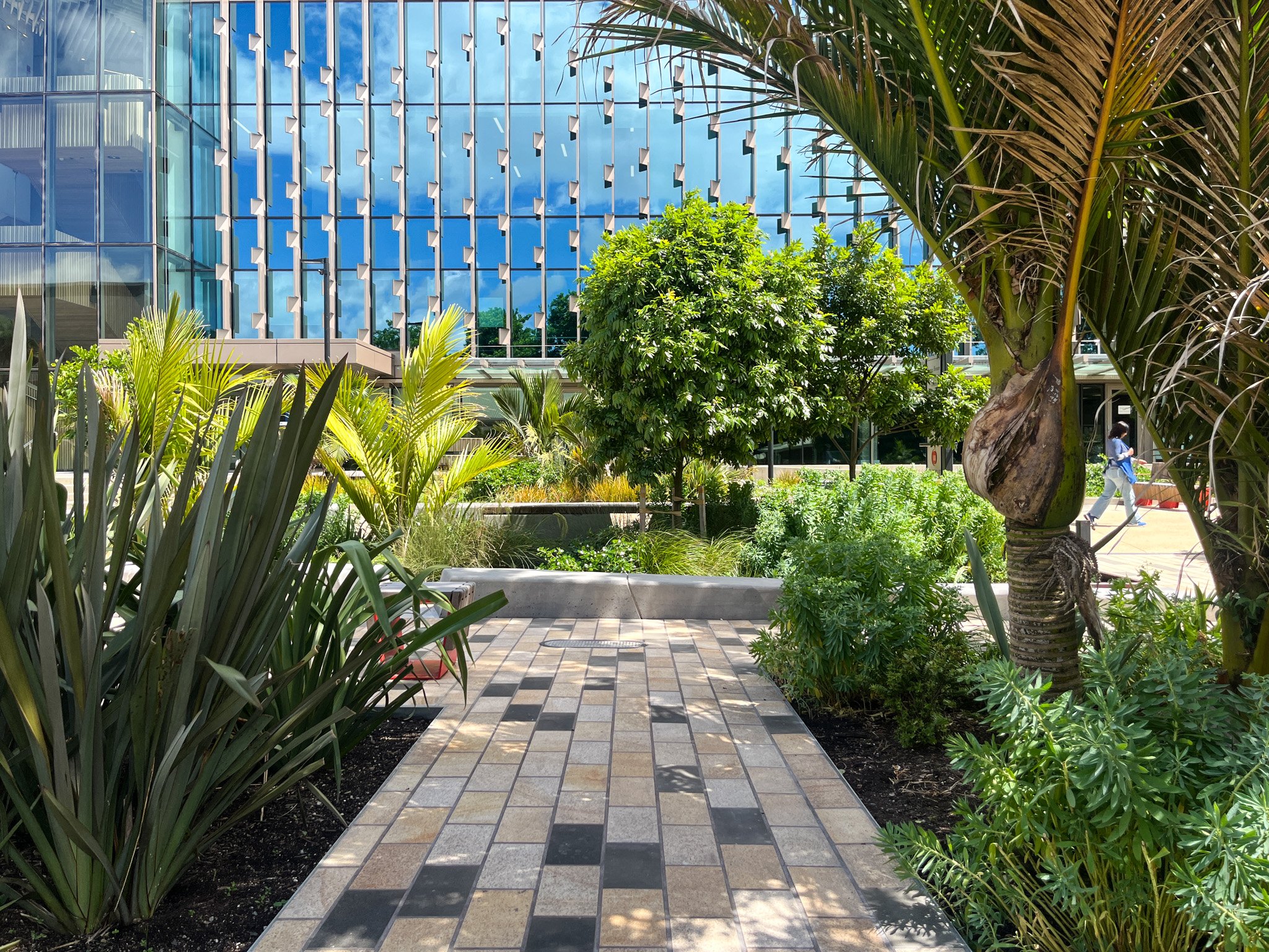View of planting at Wynyard Street, Auckland