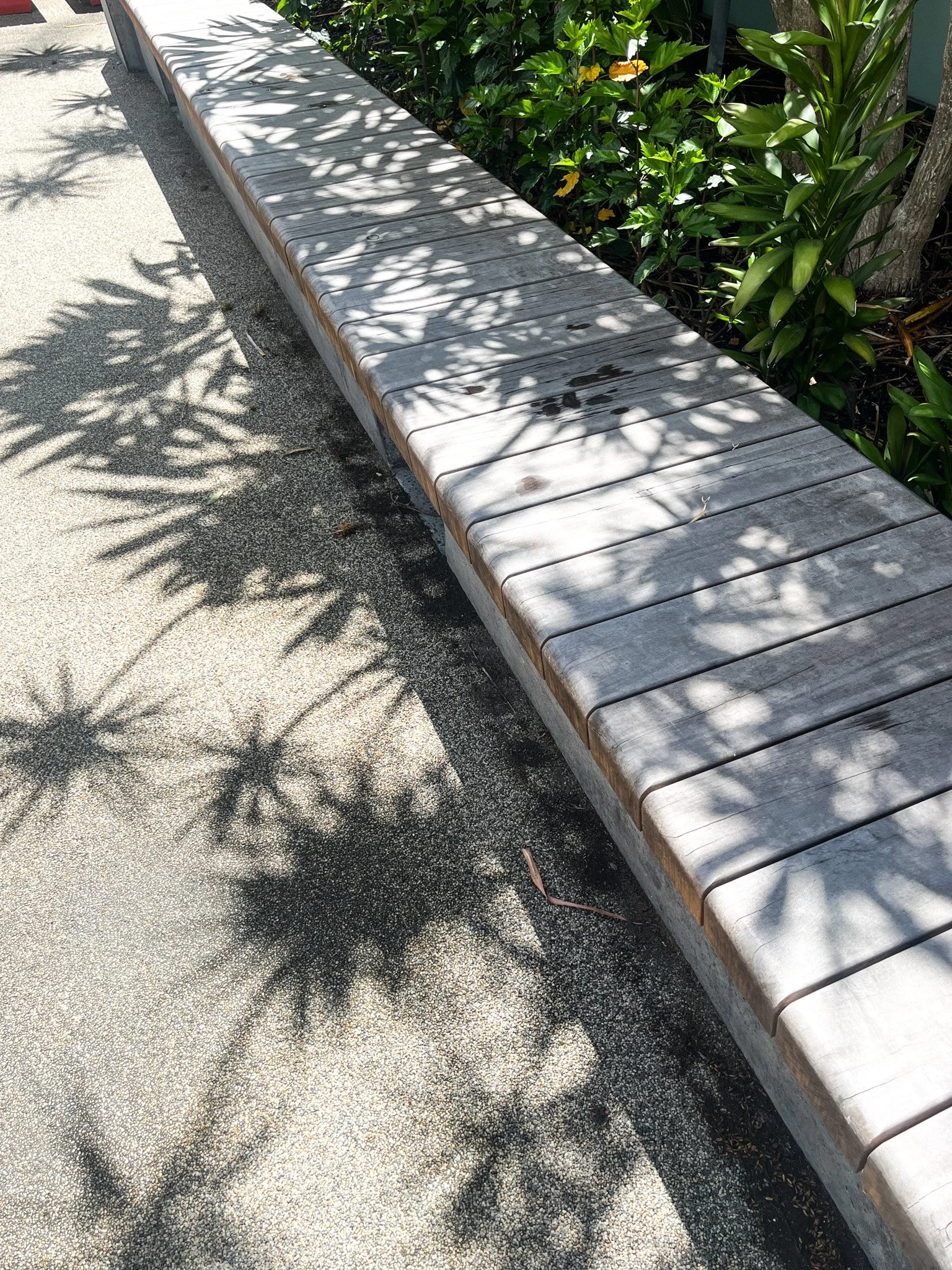 Hardwood timber bench seat, Wynyard St