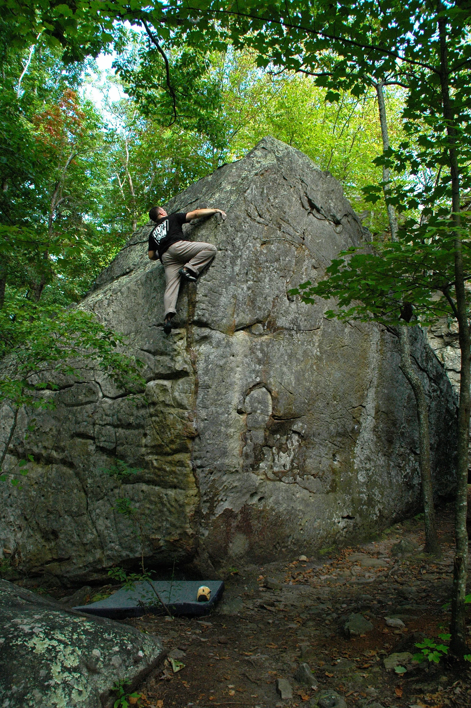 DSC_1798.JPG