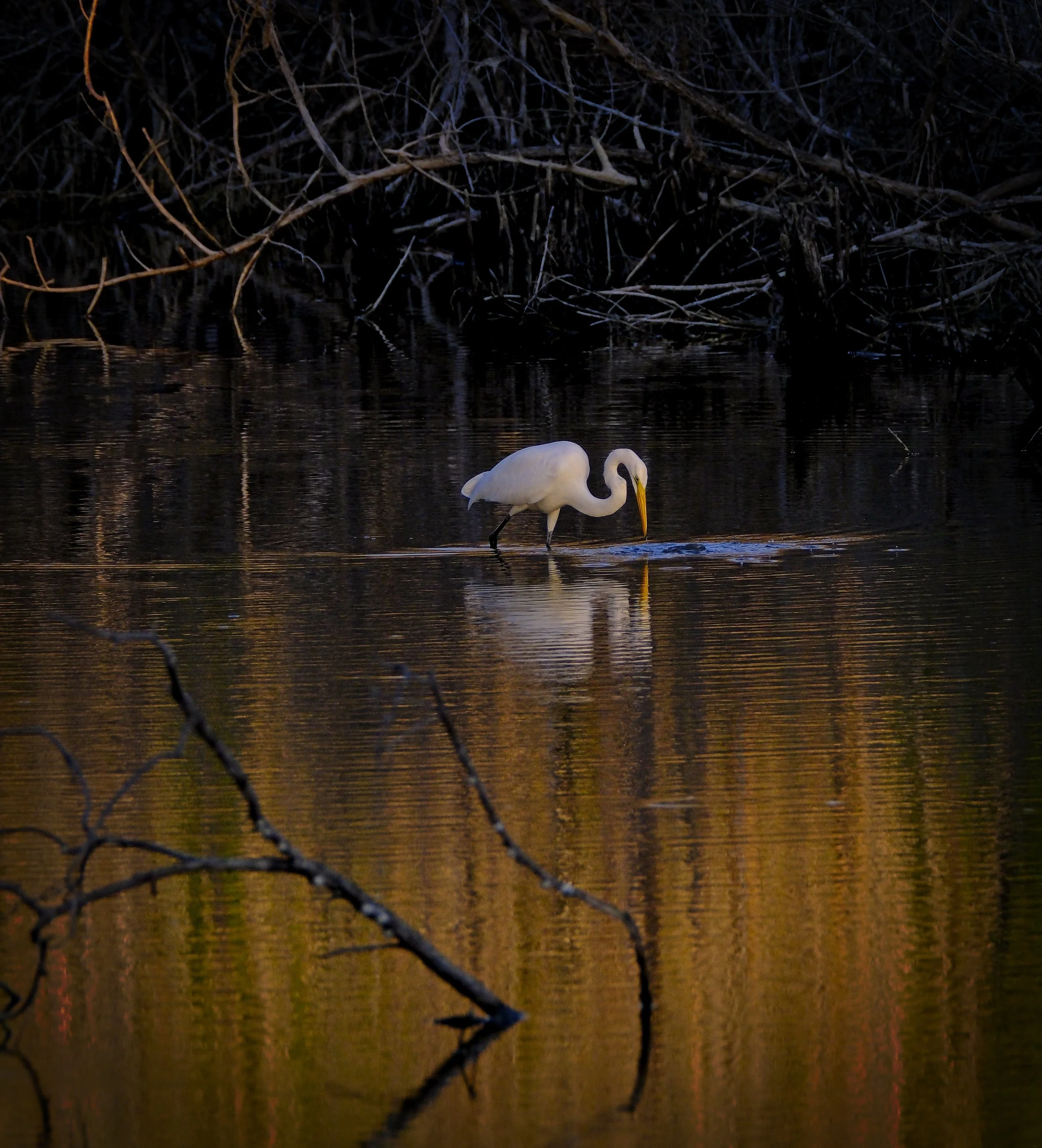 DSCF3221 1.jpg