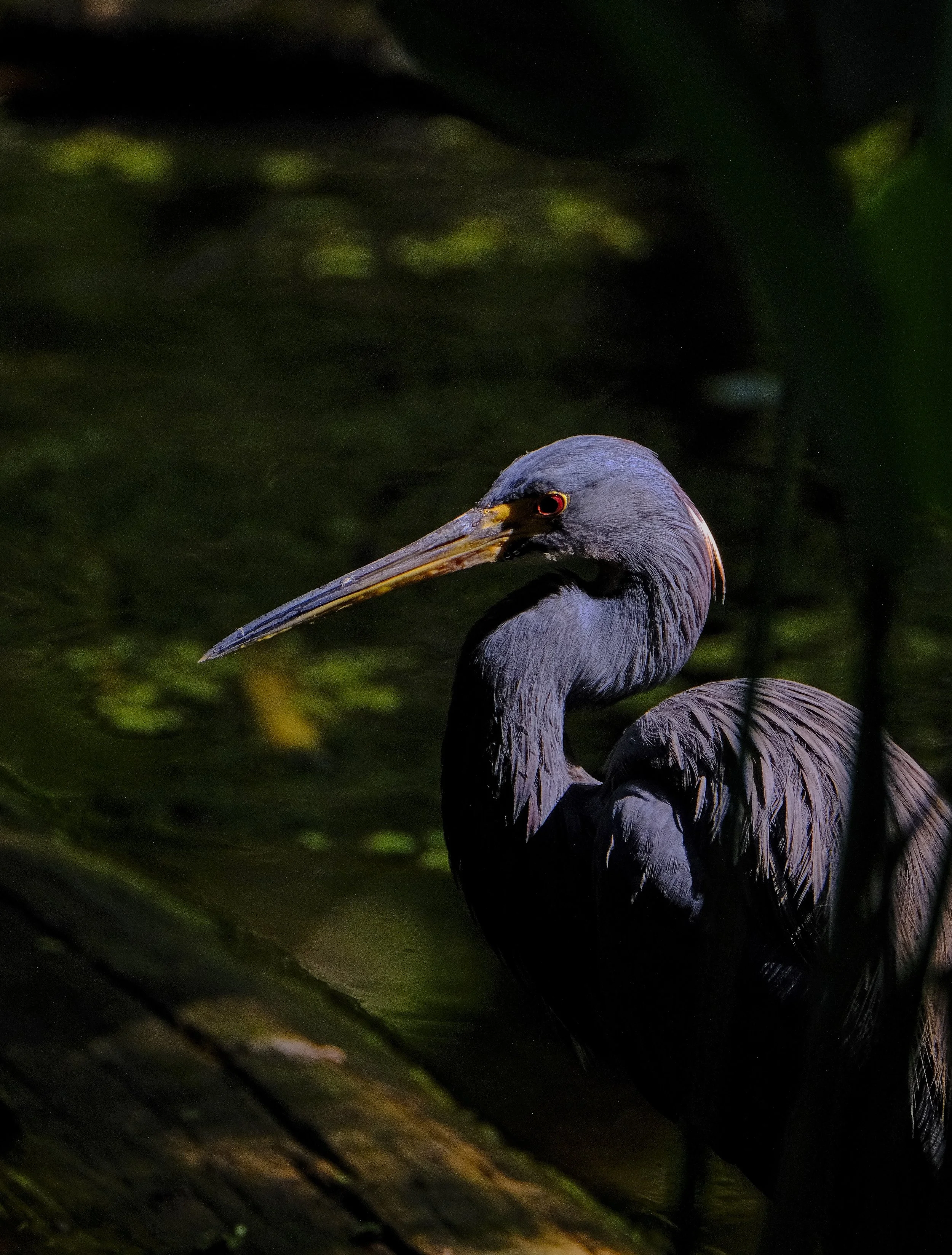 DSCF7079 1.jpg