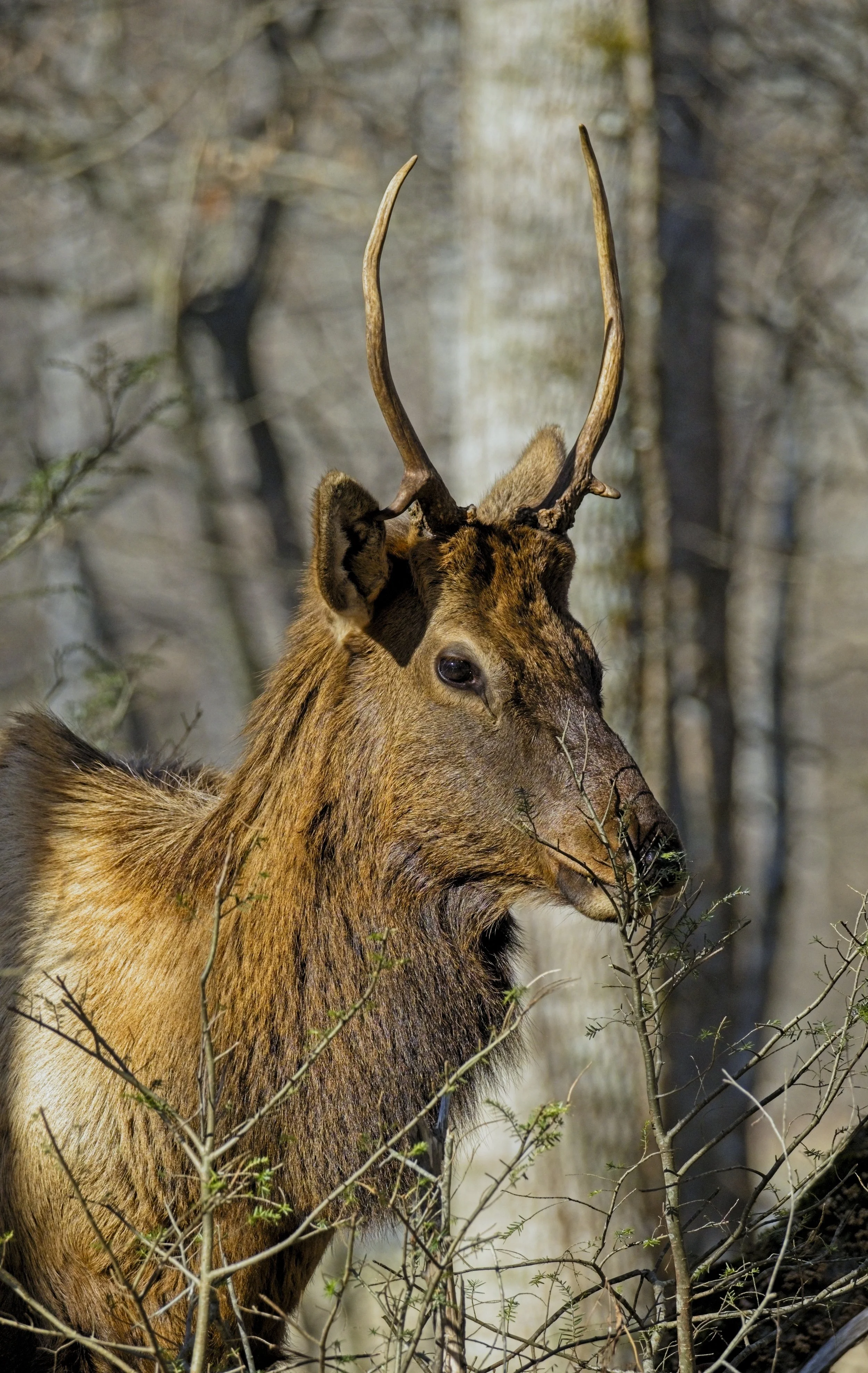 DSCF3756 1 1.jpg