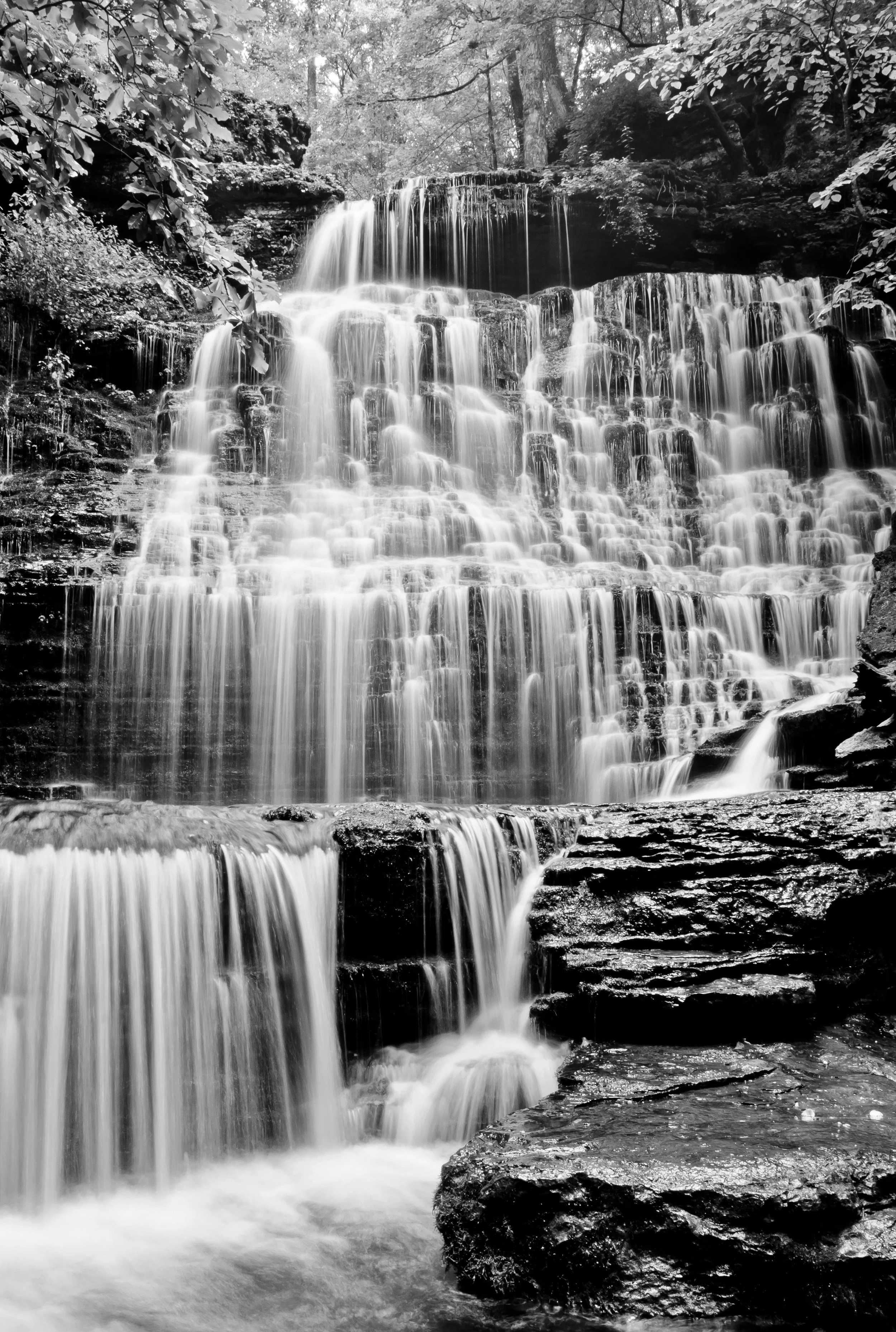 DSC_3612_Edit_Jpeg_BW_2.jpg