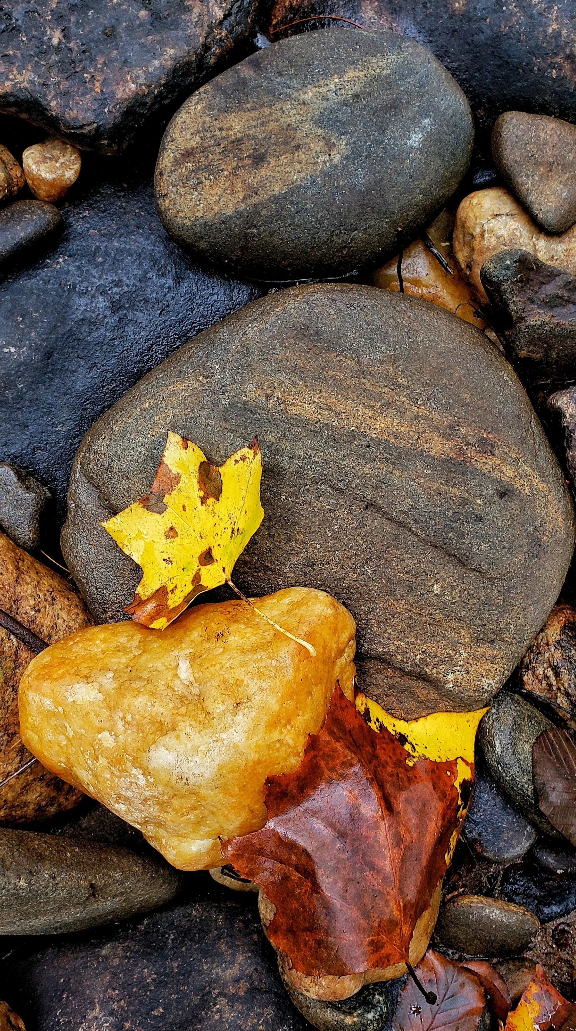 20181111_142643.jpg