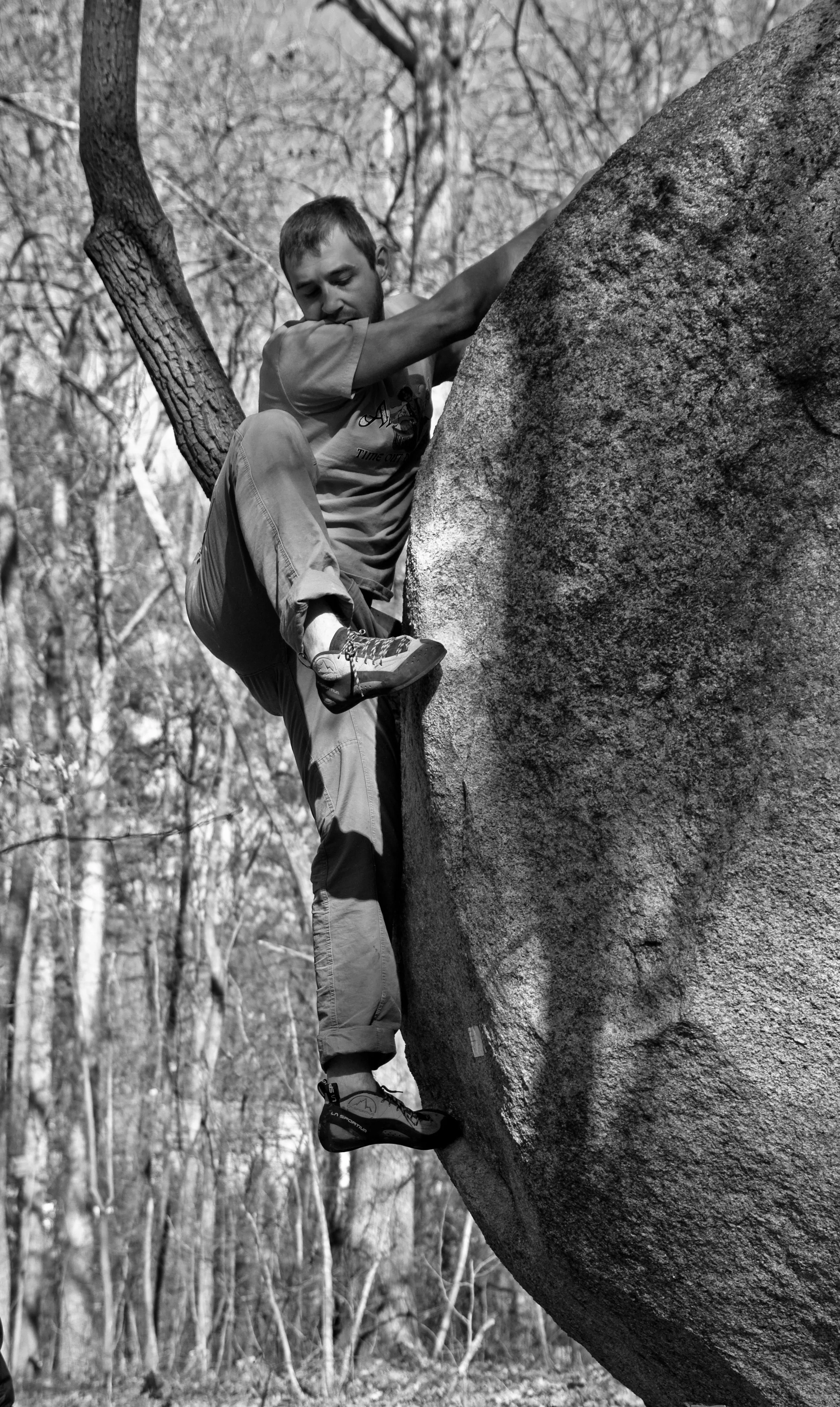 DSC_2361_Edit_3_Jpeg.jpg