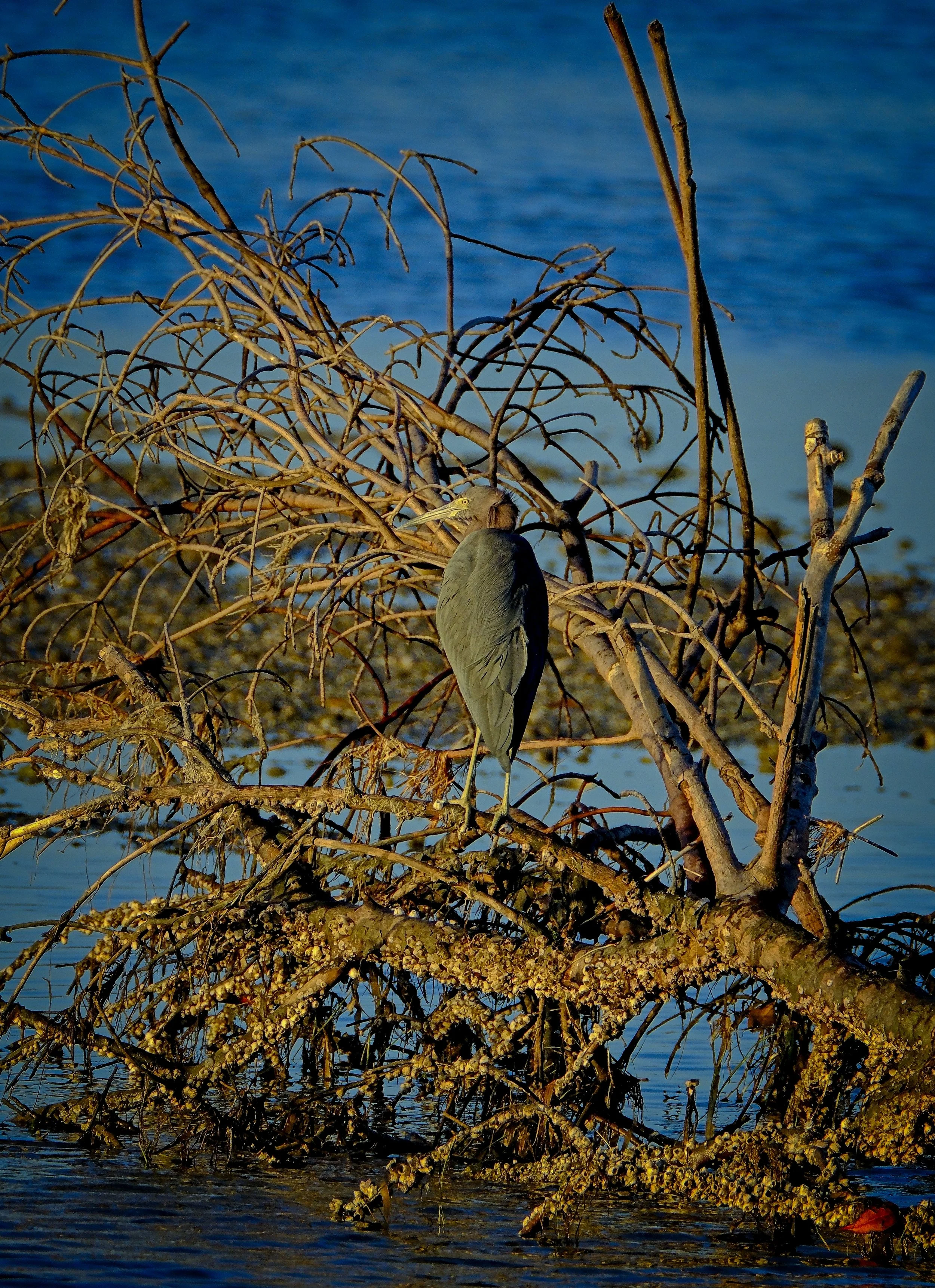 DSCF4309 1.jpg