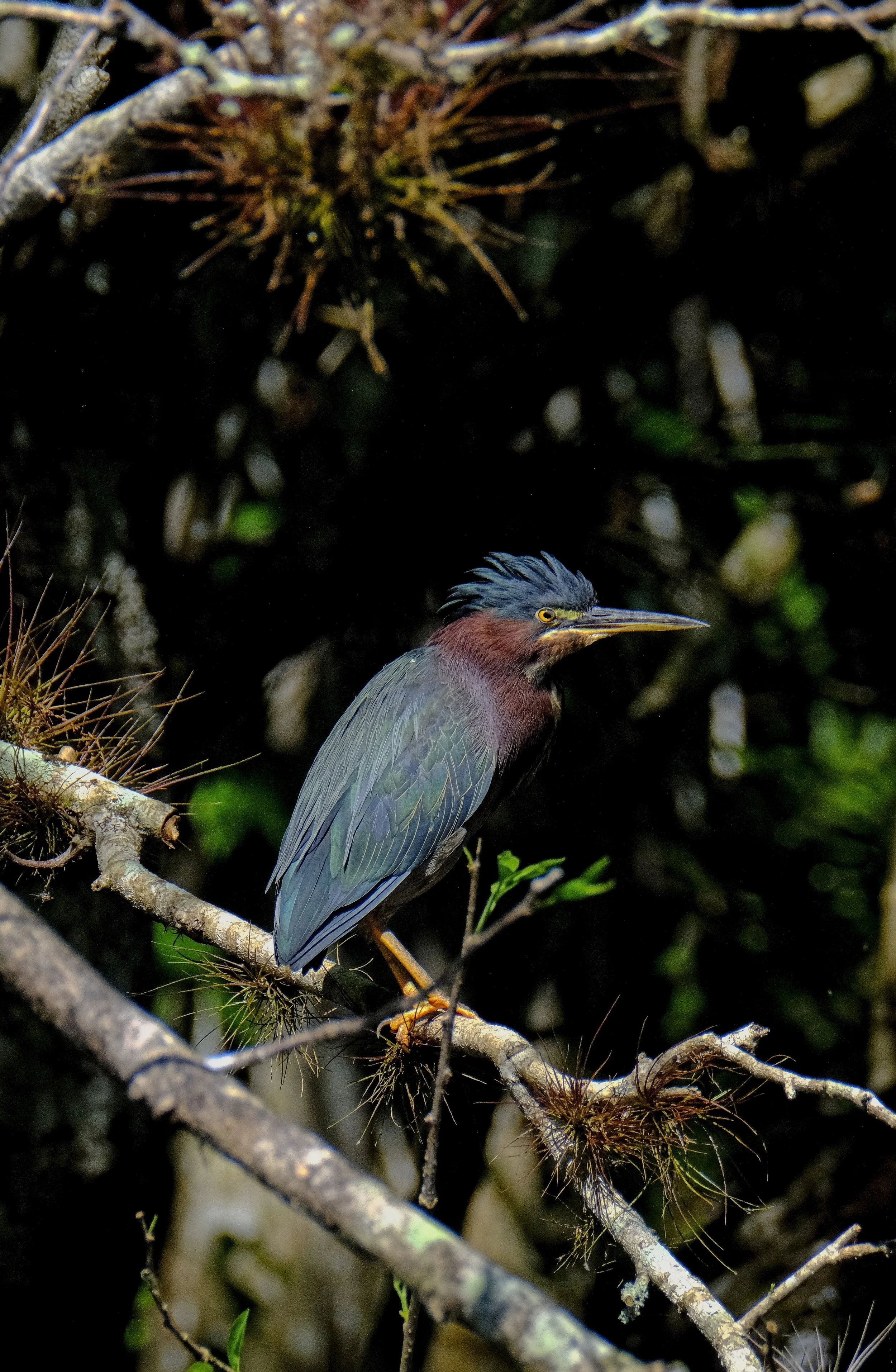 DSCF7137 1.jpg