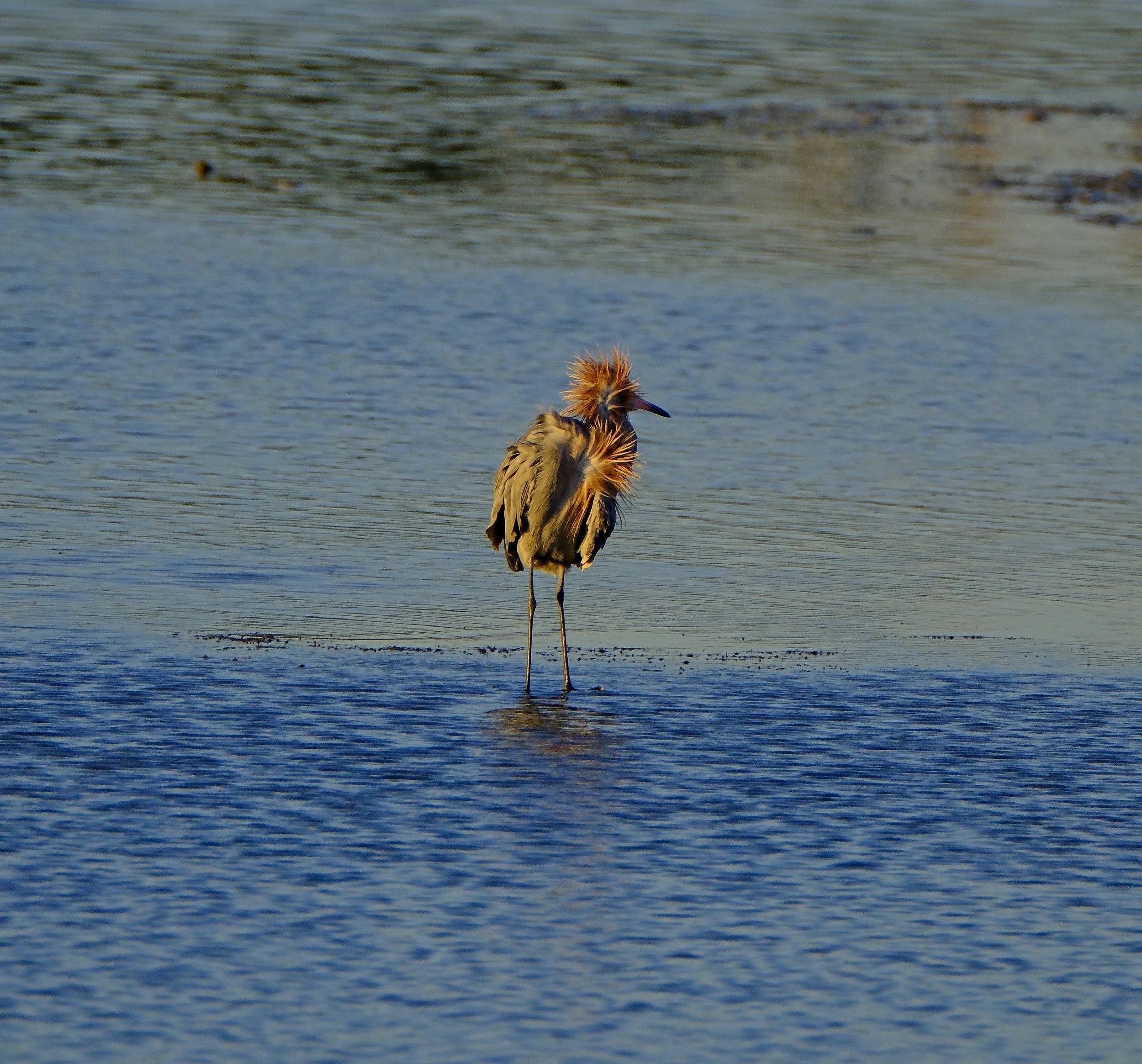 DSCF4307 1.jpg