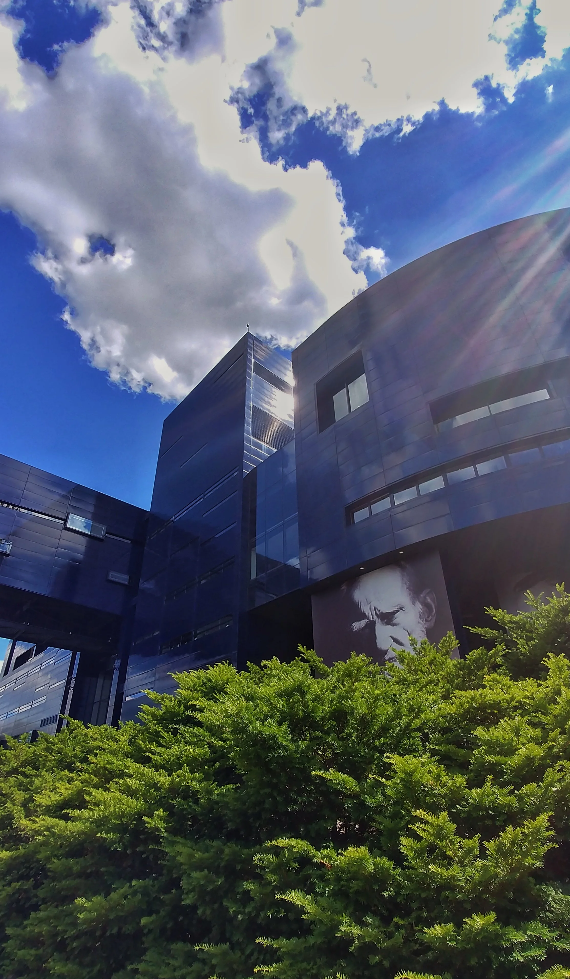 20170620_154948_HDR-01.jpeg
