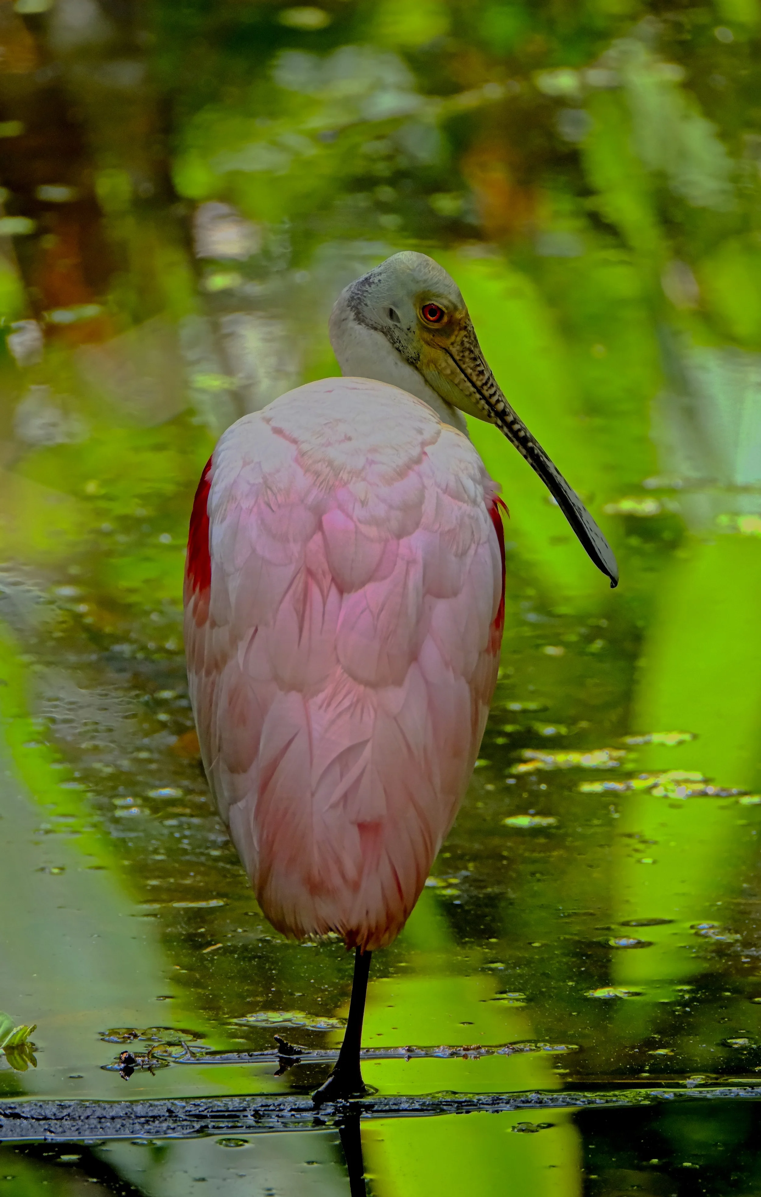 DSCF6752 1.jpg