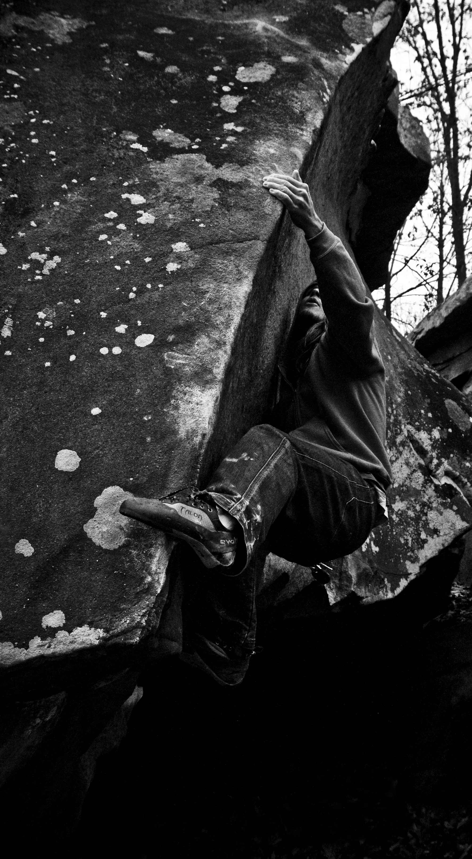DSC_1137_Edit2_Jpeg.jpg