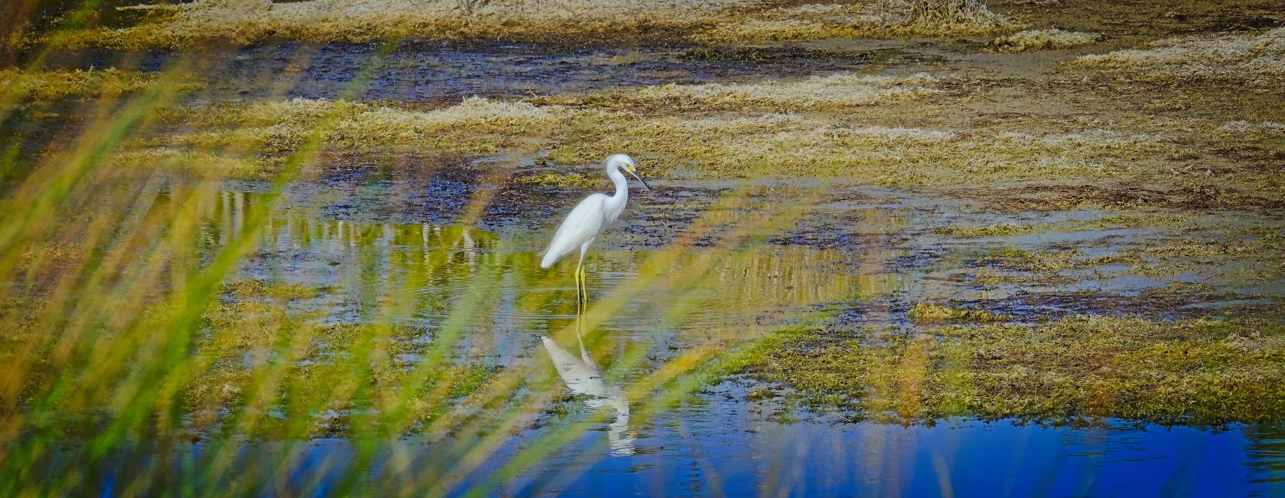DSCF2940 1 3.jpg