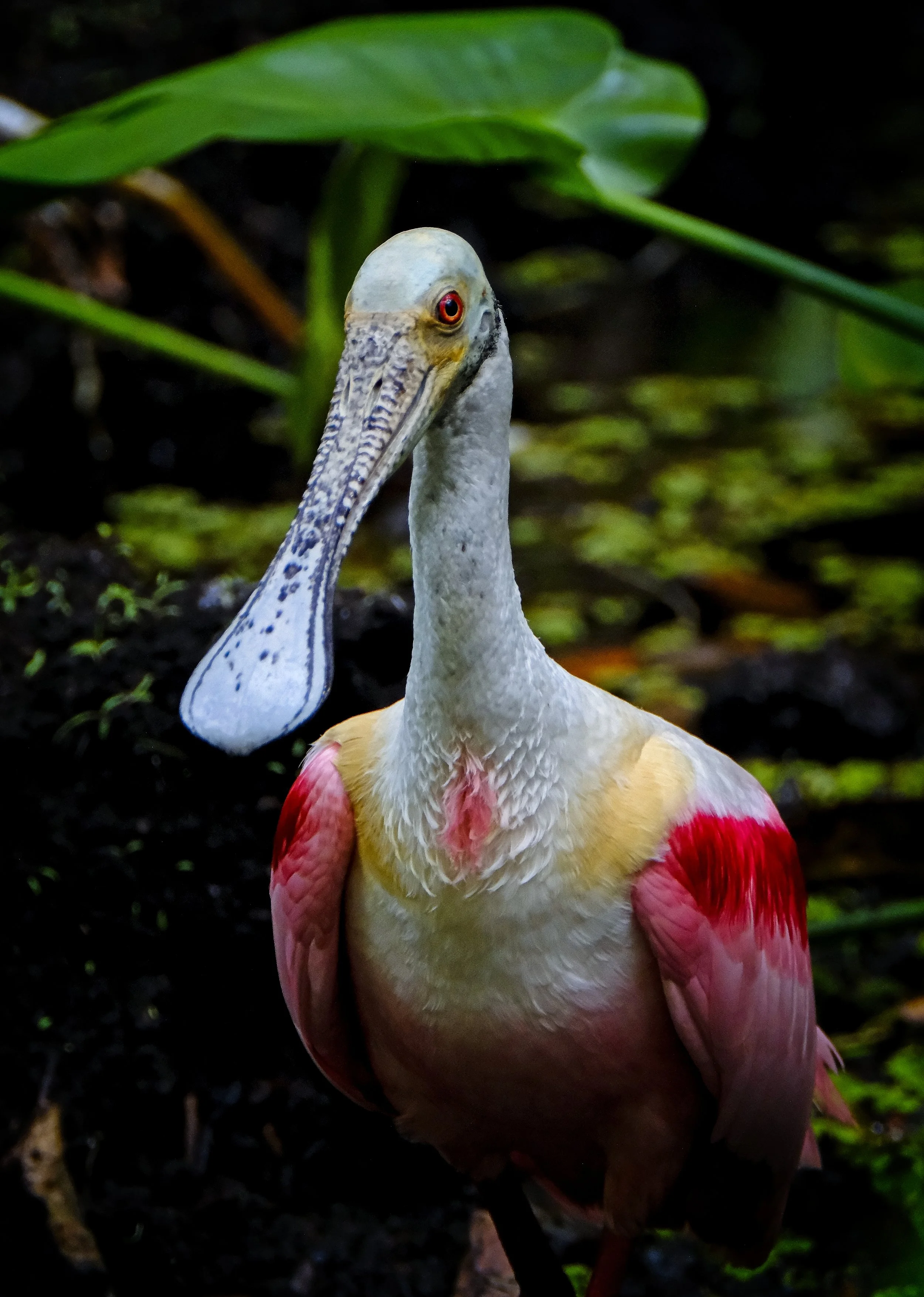 DSCF6814 2.jpg
