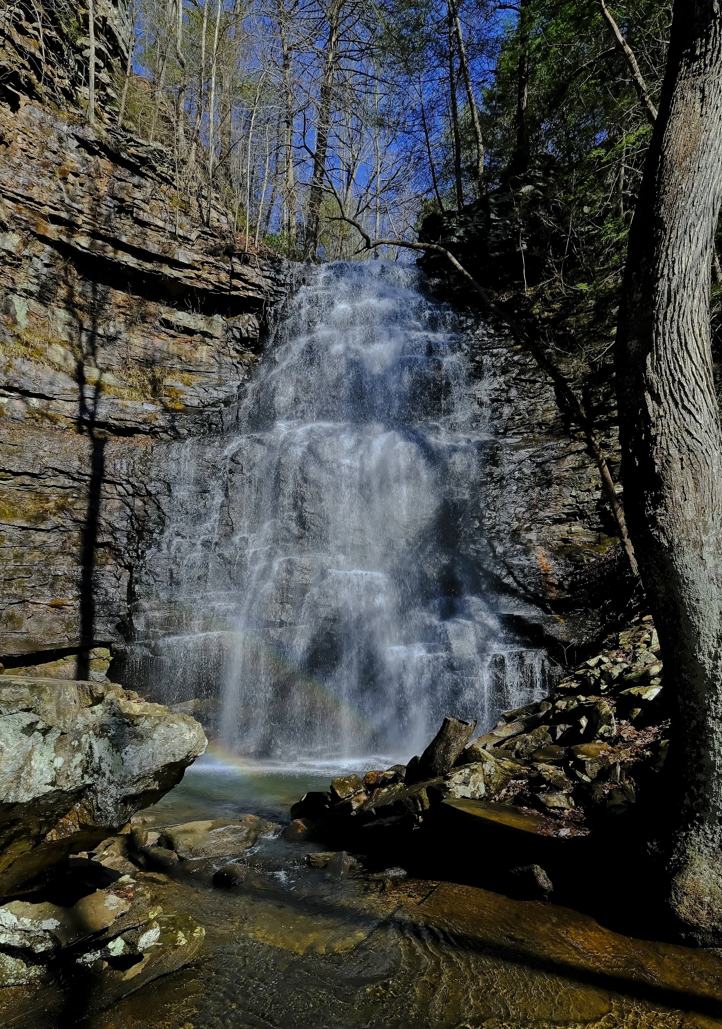 DSCF5100 1.jpg
