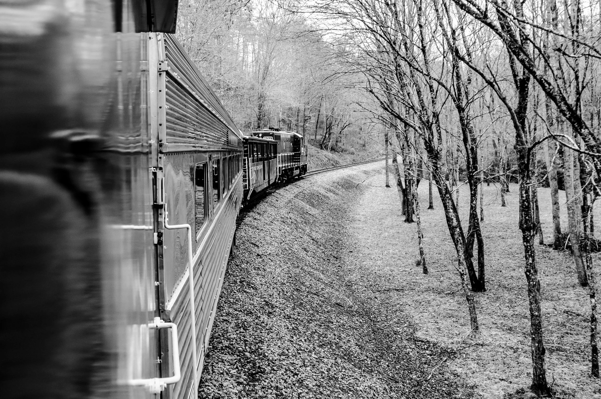 DSC_6559_Edit_Jpeg.jpg