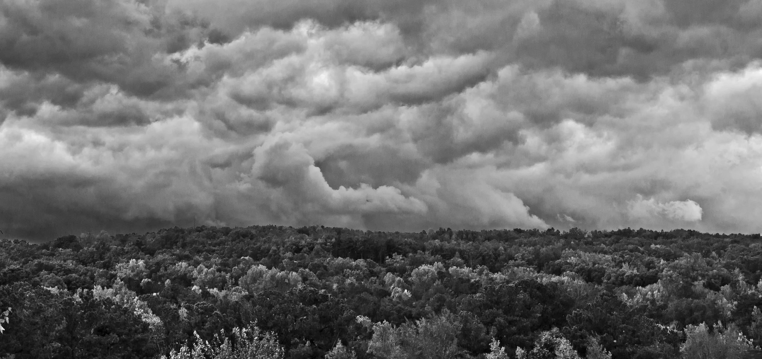 DSC_6826_Edit_Jpeg.jpg