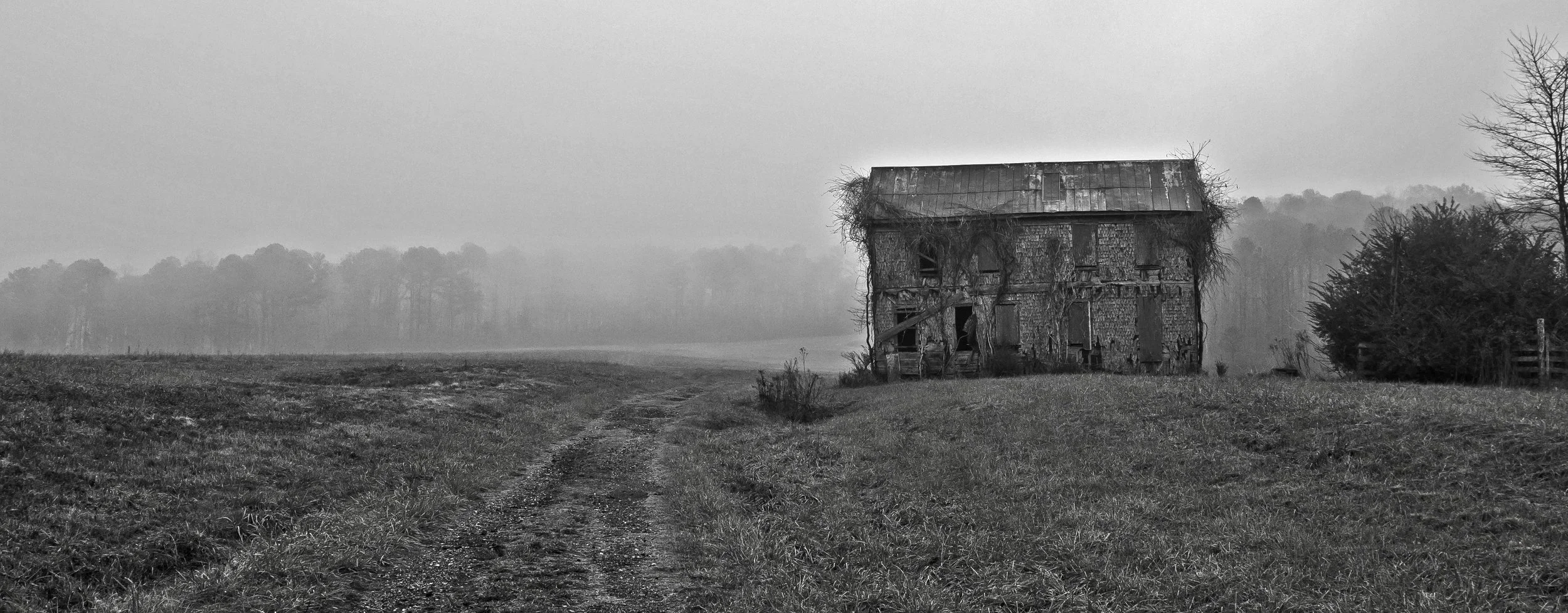 DSC_9294_Jpeg.jpg