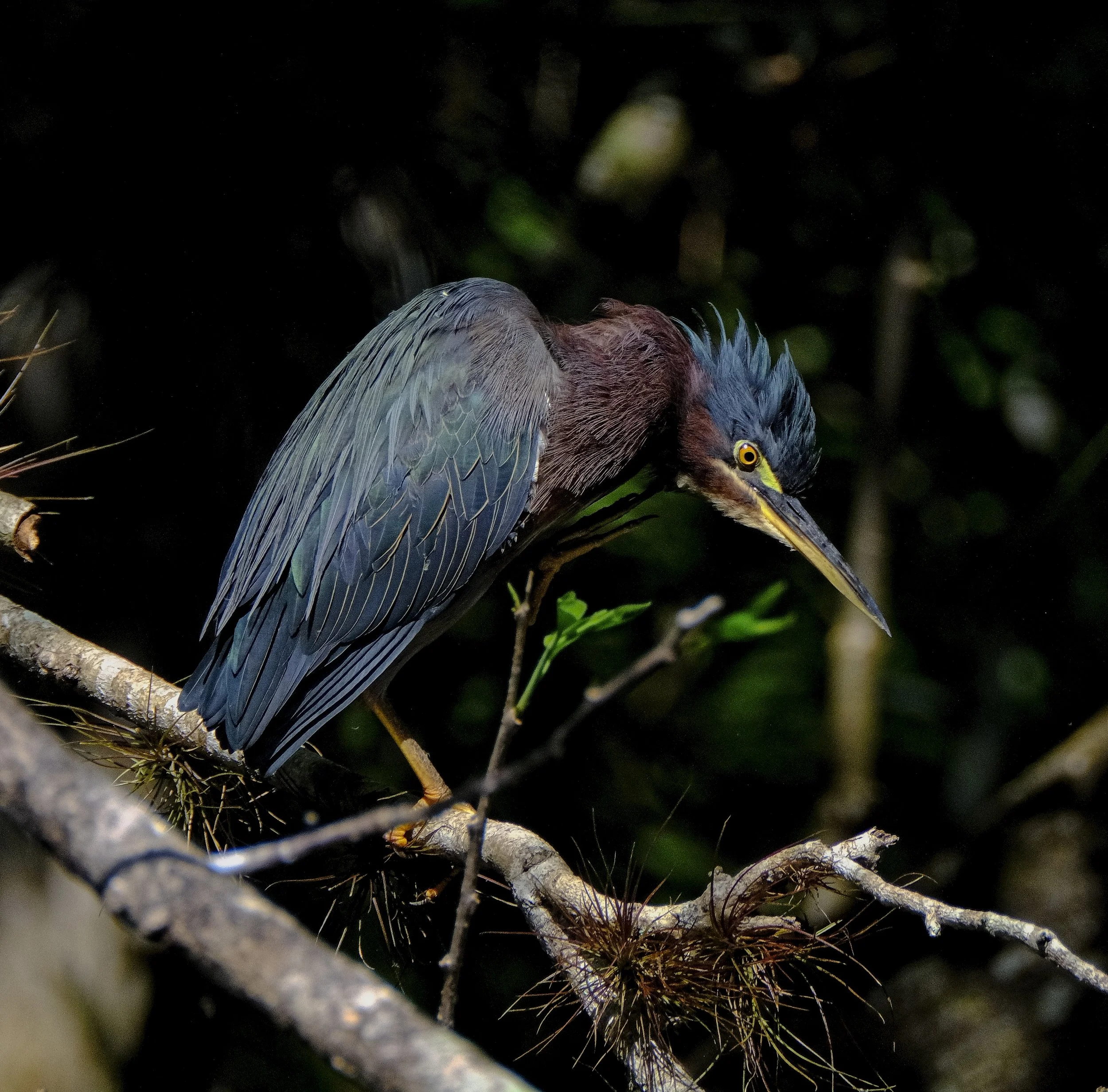 DSCF7124 1.jpg