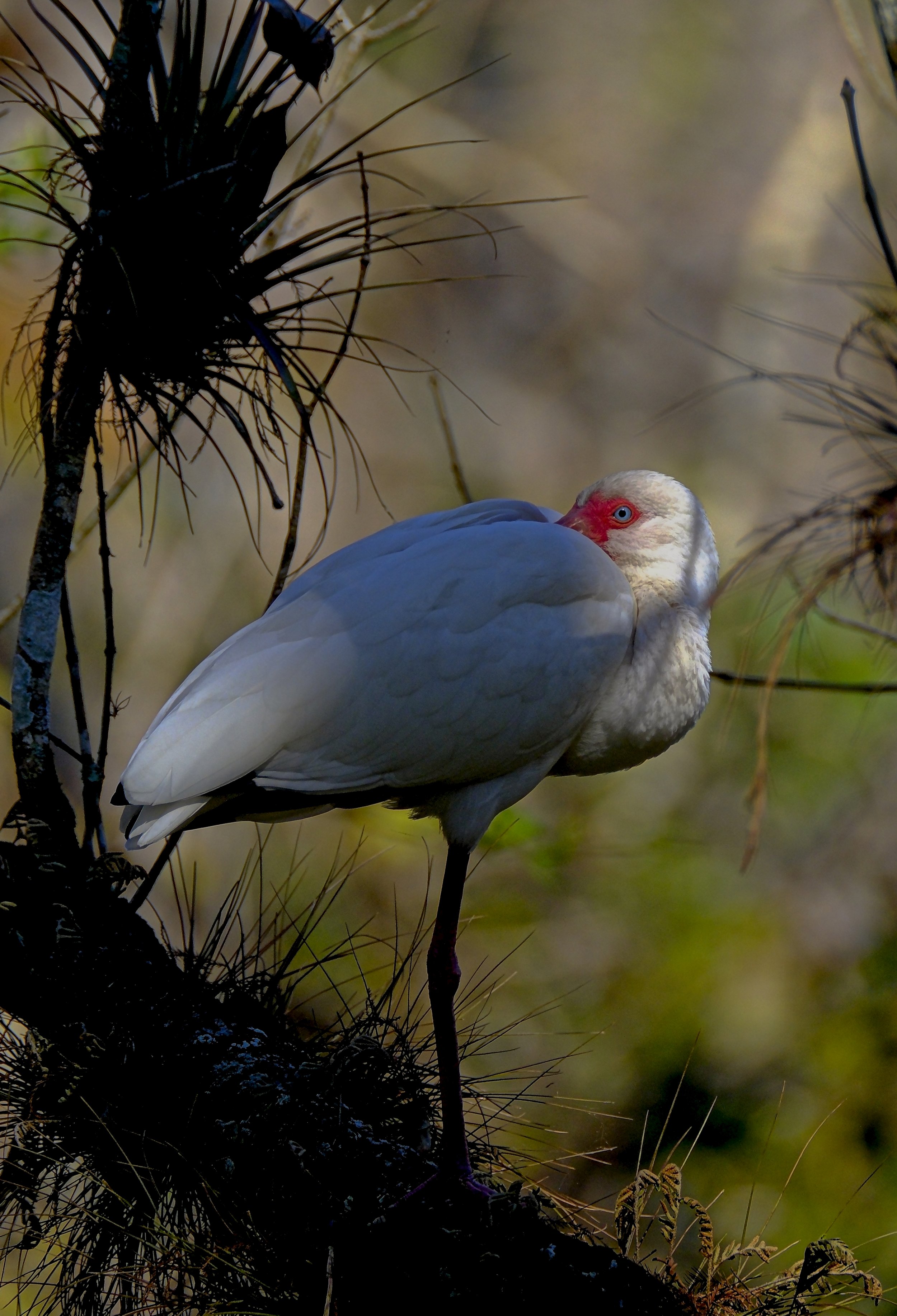 DSCF5031 2.jpg