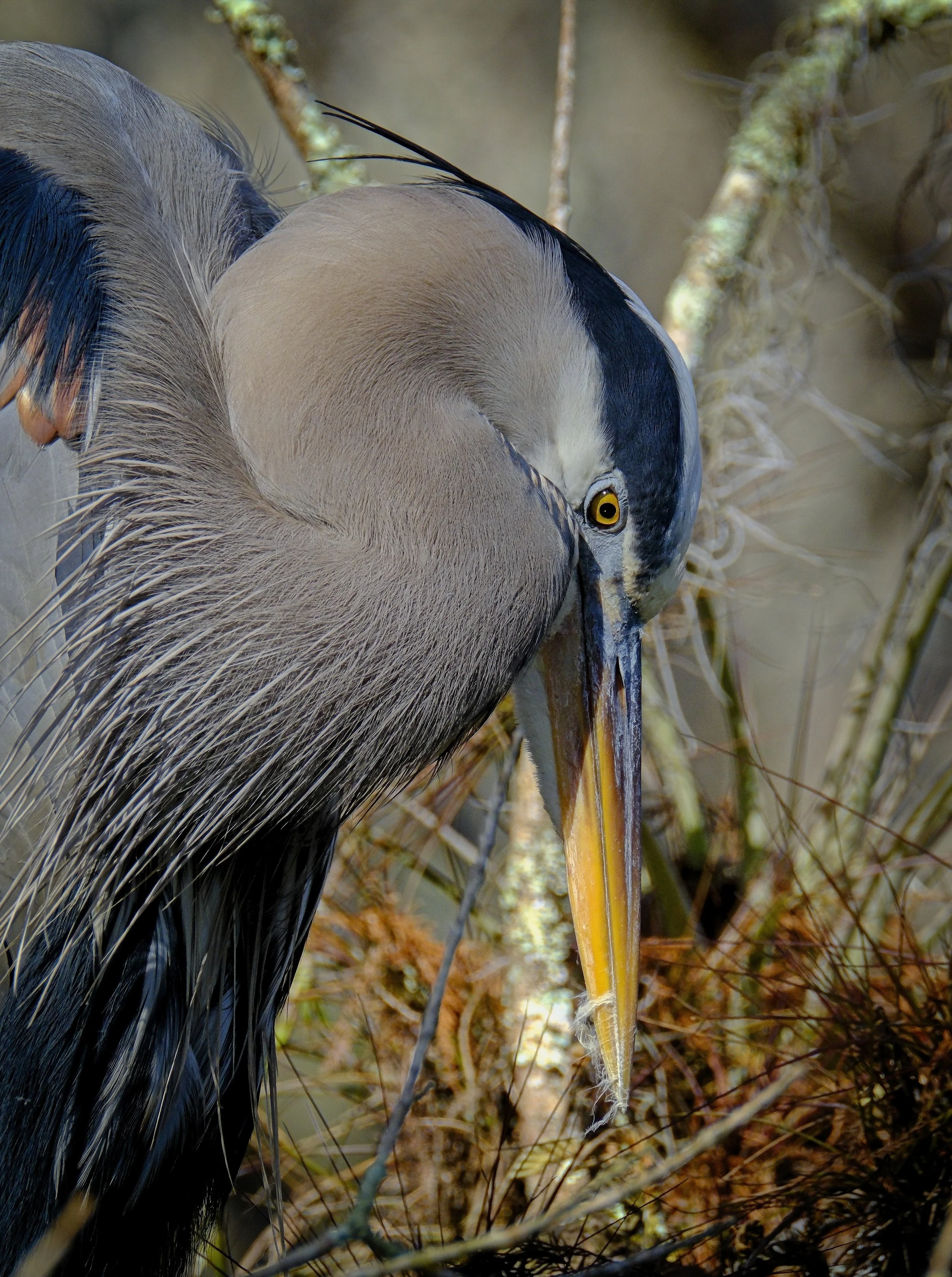 DSCF5681 1 1.jpg